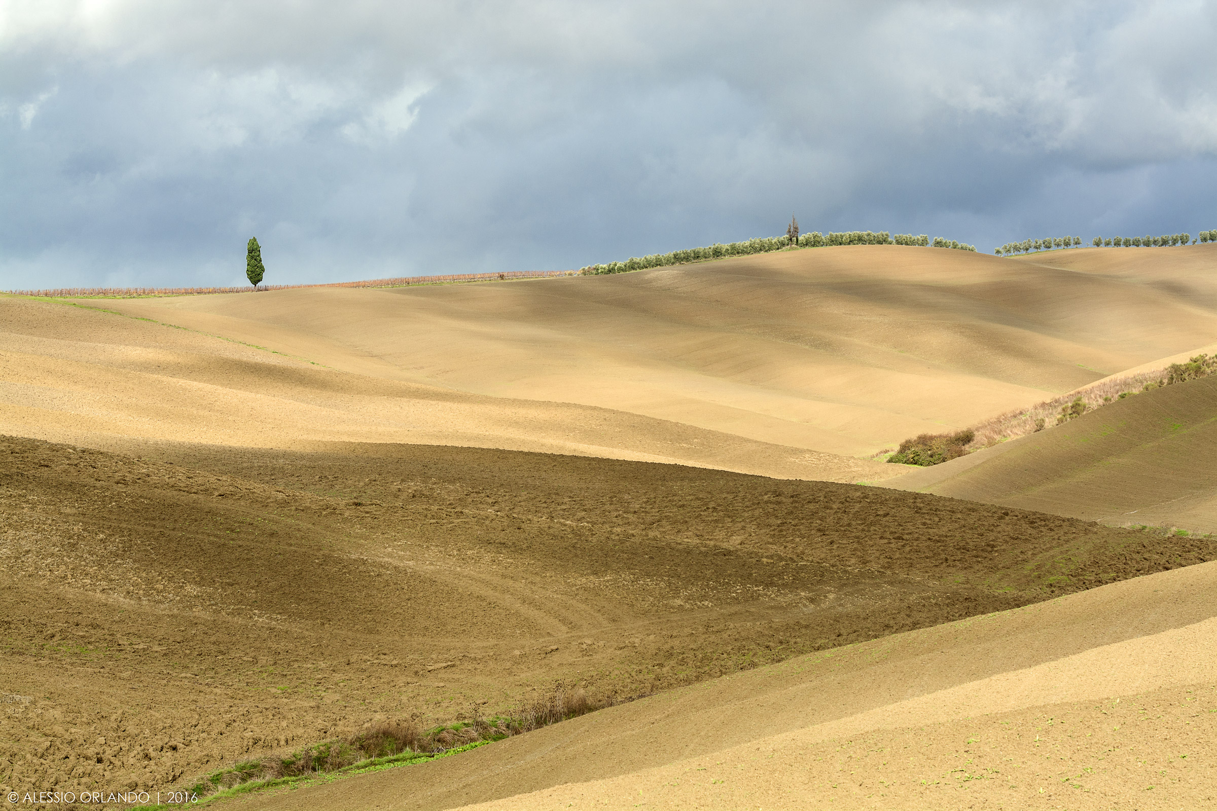 Terra d'Orcia