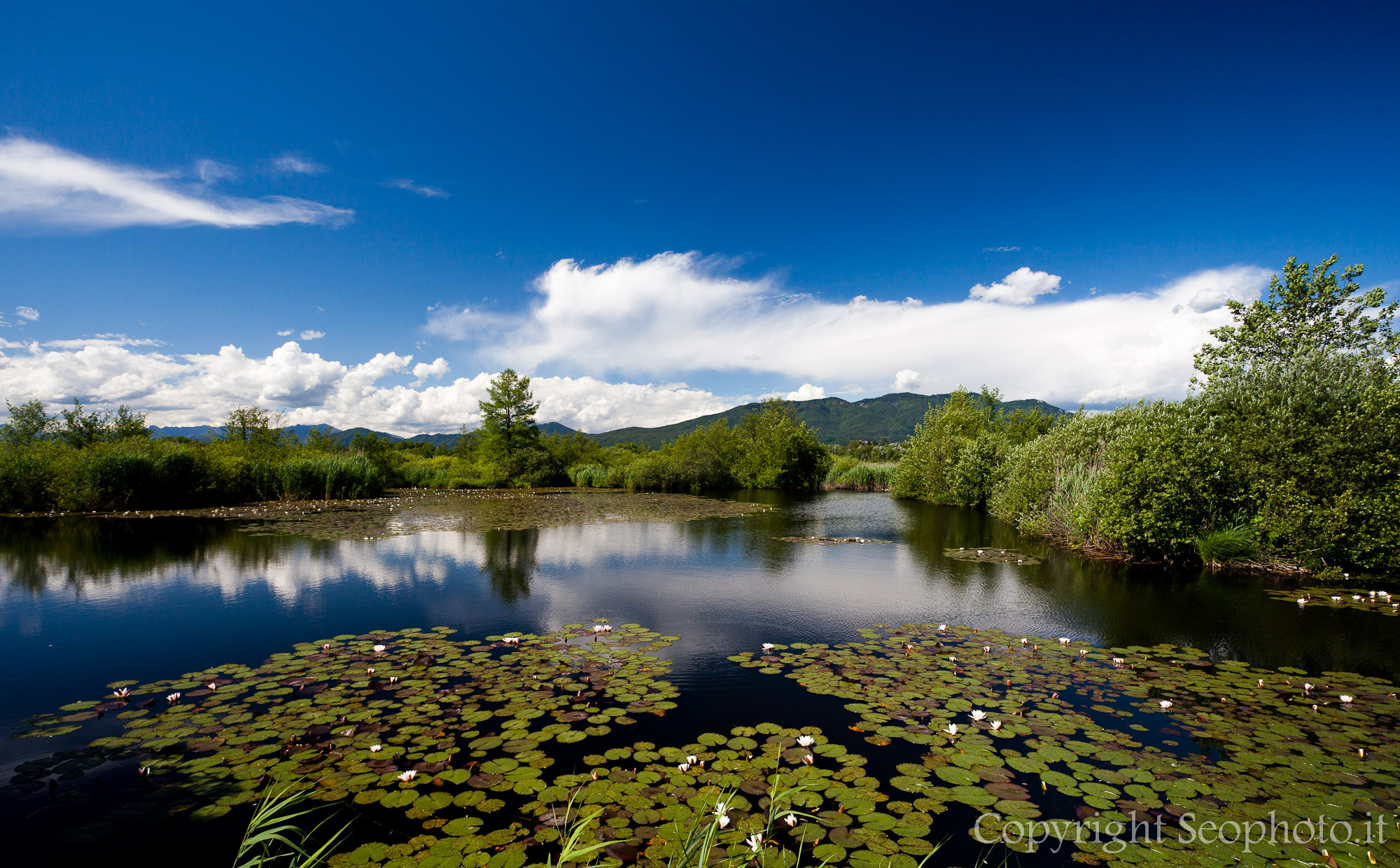 Palude brabbia - Primo appostamento