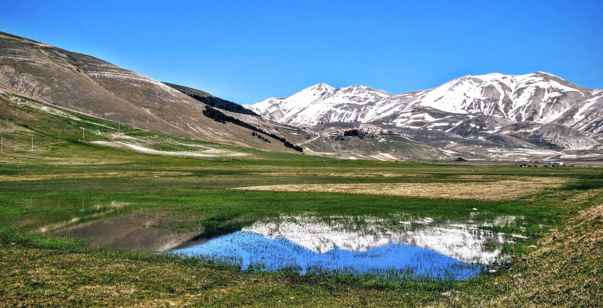 Forever in the heart...