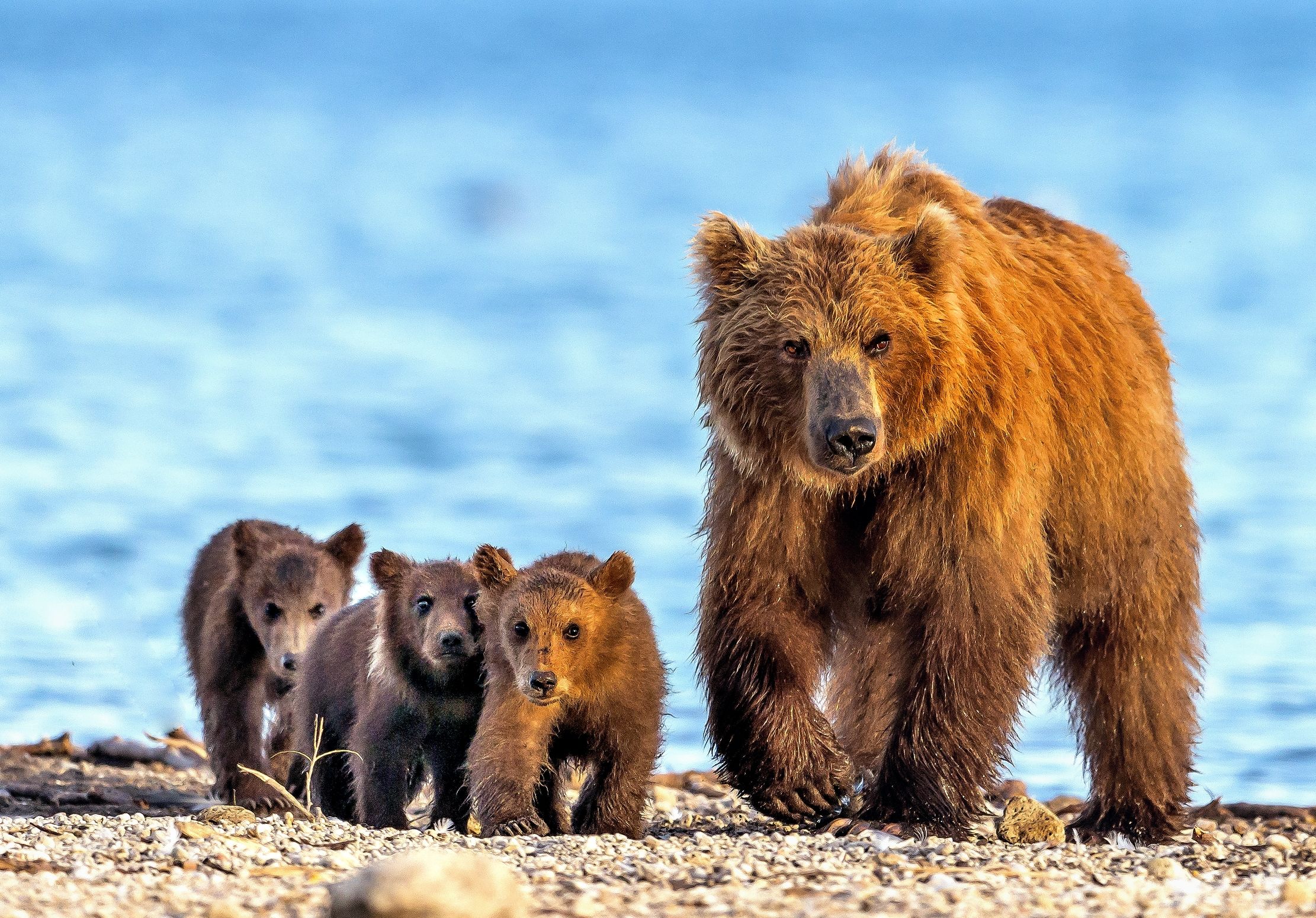 Kamchatka 2016 - Family