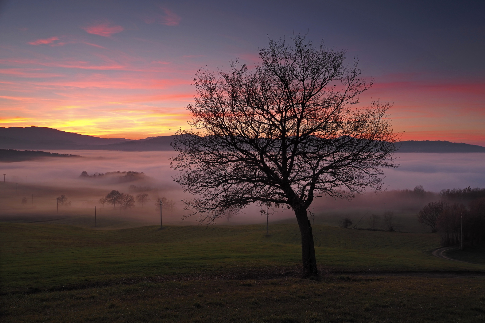 A blanket for the winter