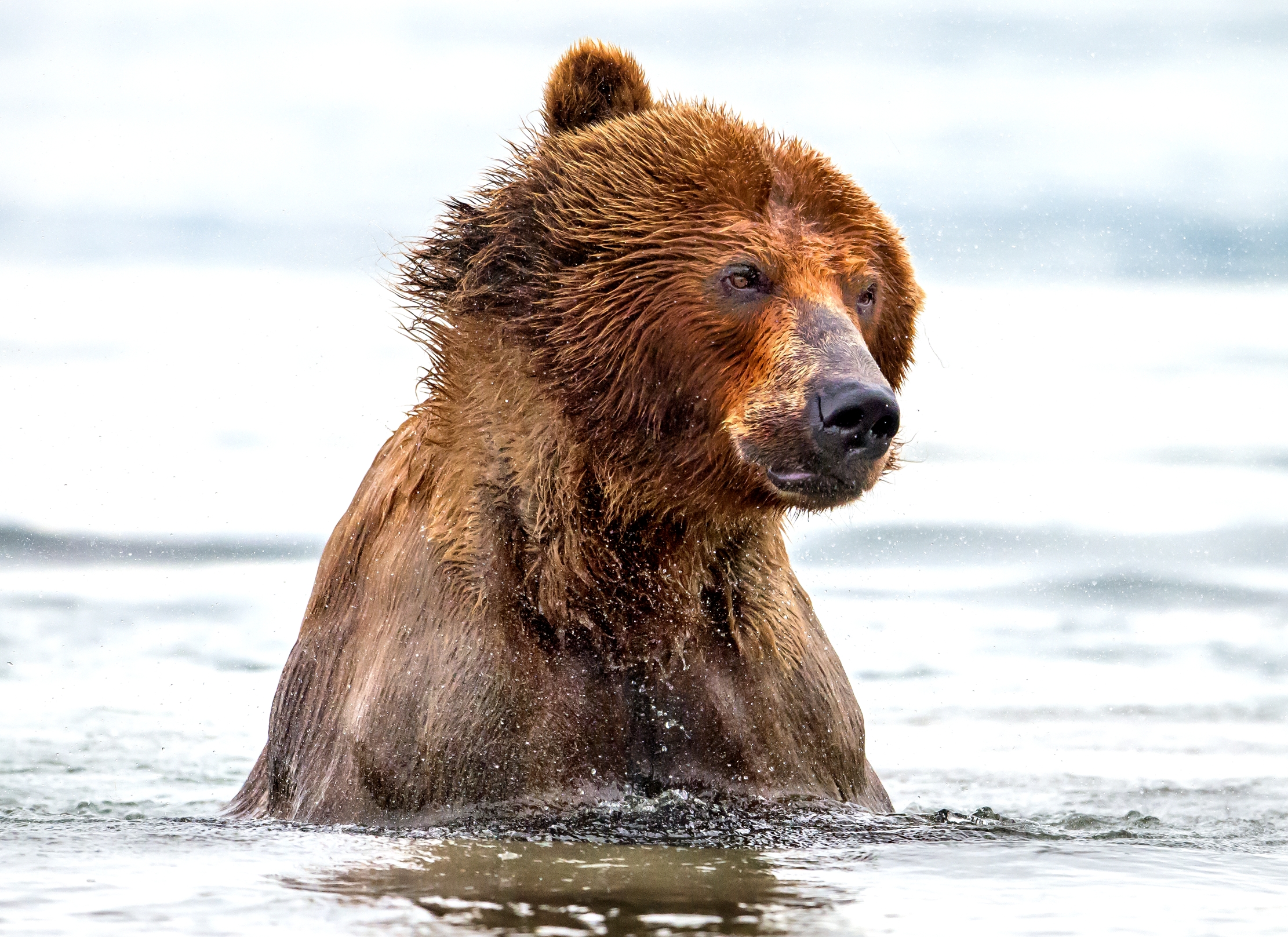 Kamchatka 2016 - Nel lago