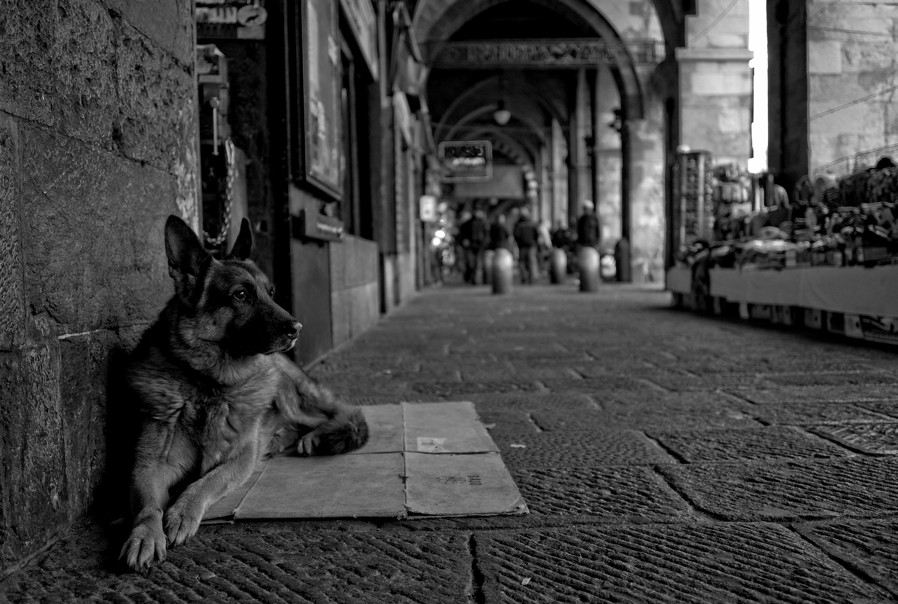 Il guardiano di Sottoripa