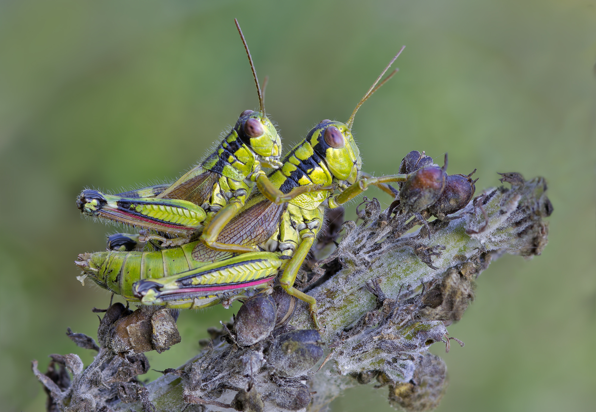 Attaccati forte..si parteeeee !