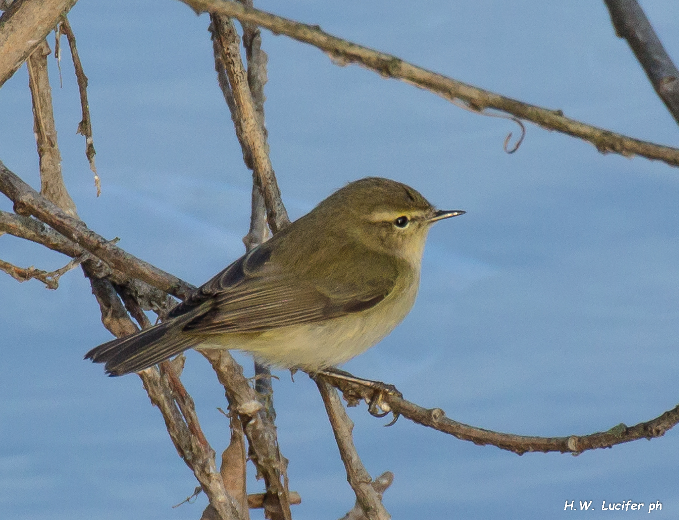 Lui piccolo sopra l'acqua
