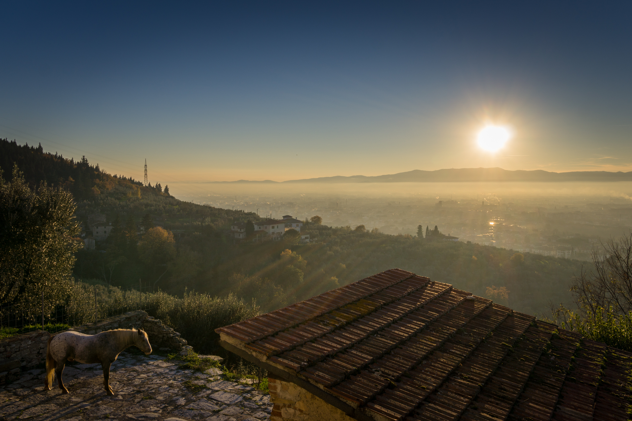 Campaign in the city