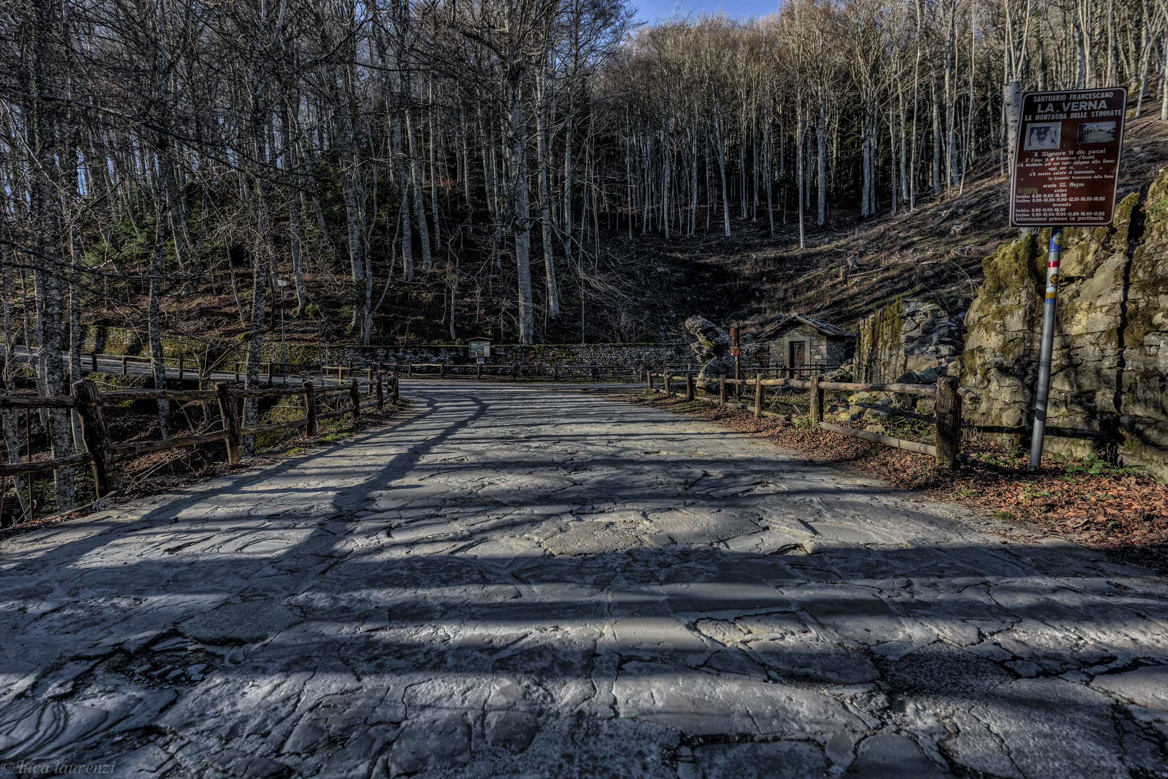 La foresta casentinese