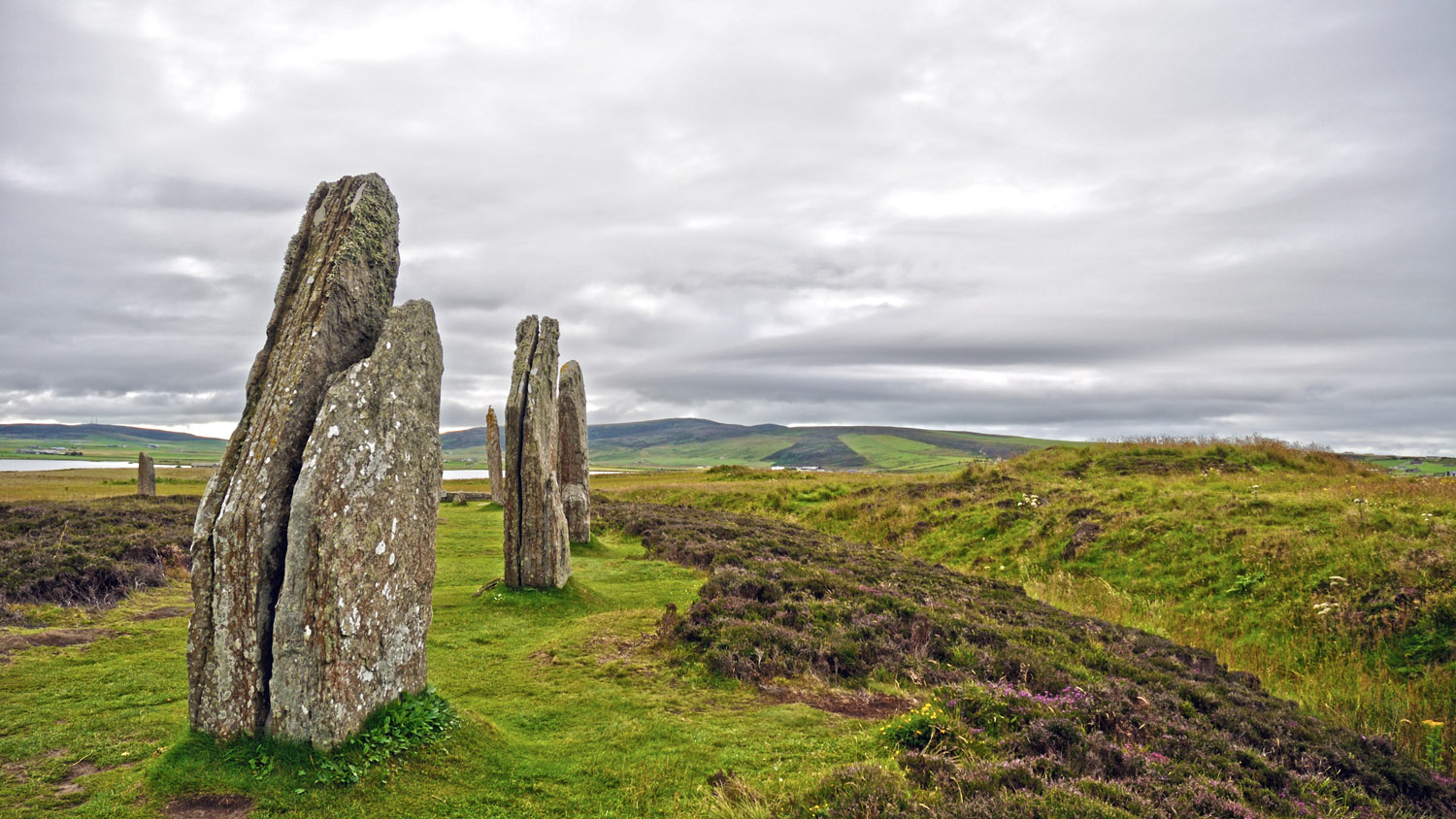 Orkney Islands, dolmens and heather