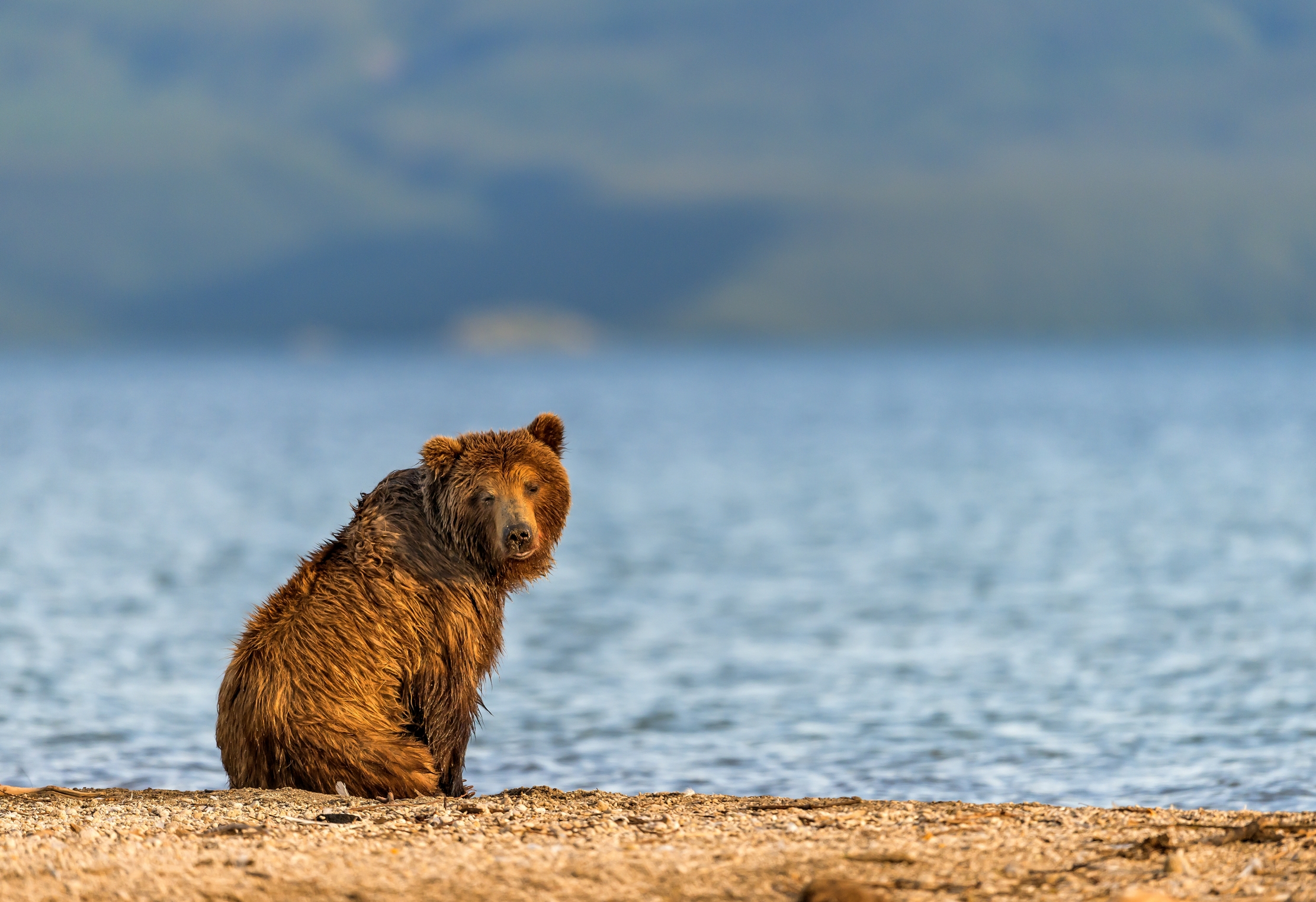 Kamchatka 2016 - Kurile Lake