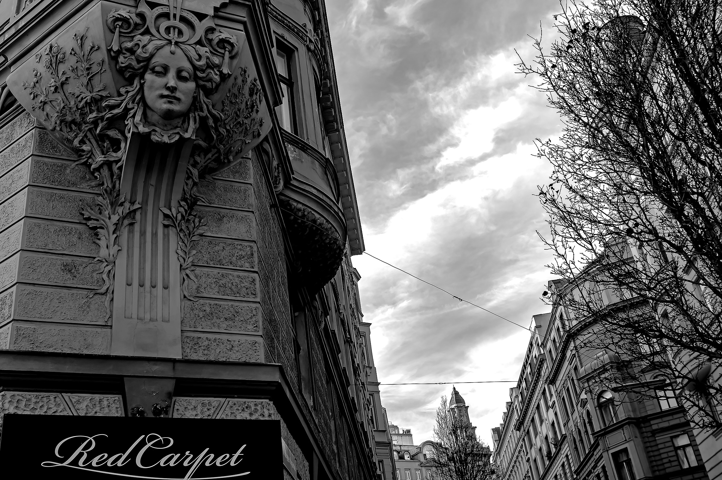 Hic Sunt Personae in Palacia