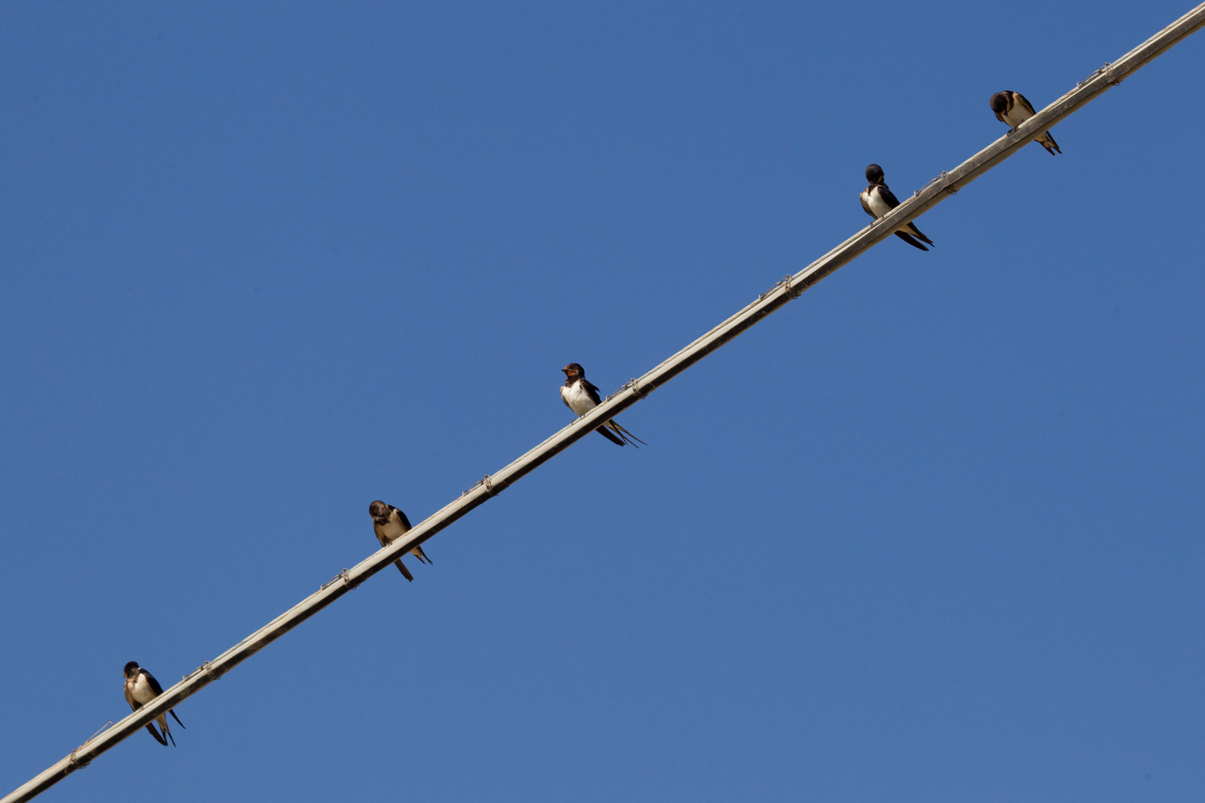 Always ..... On a hot August afternoon