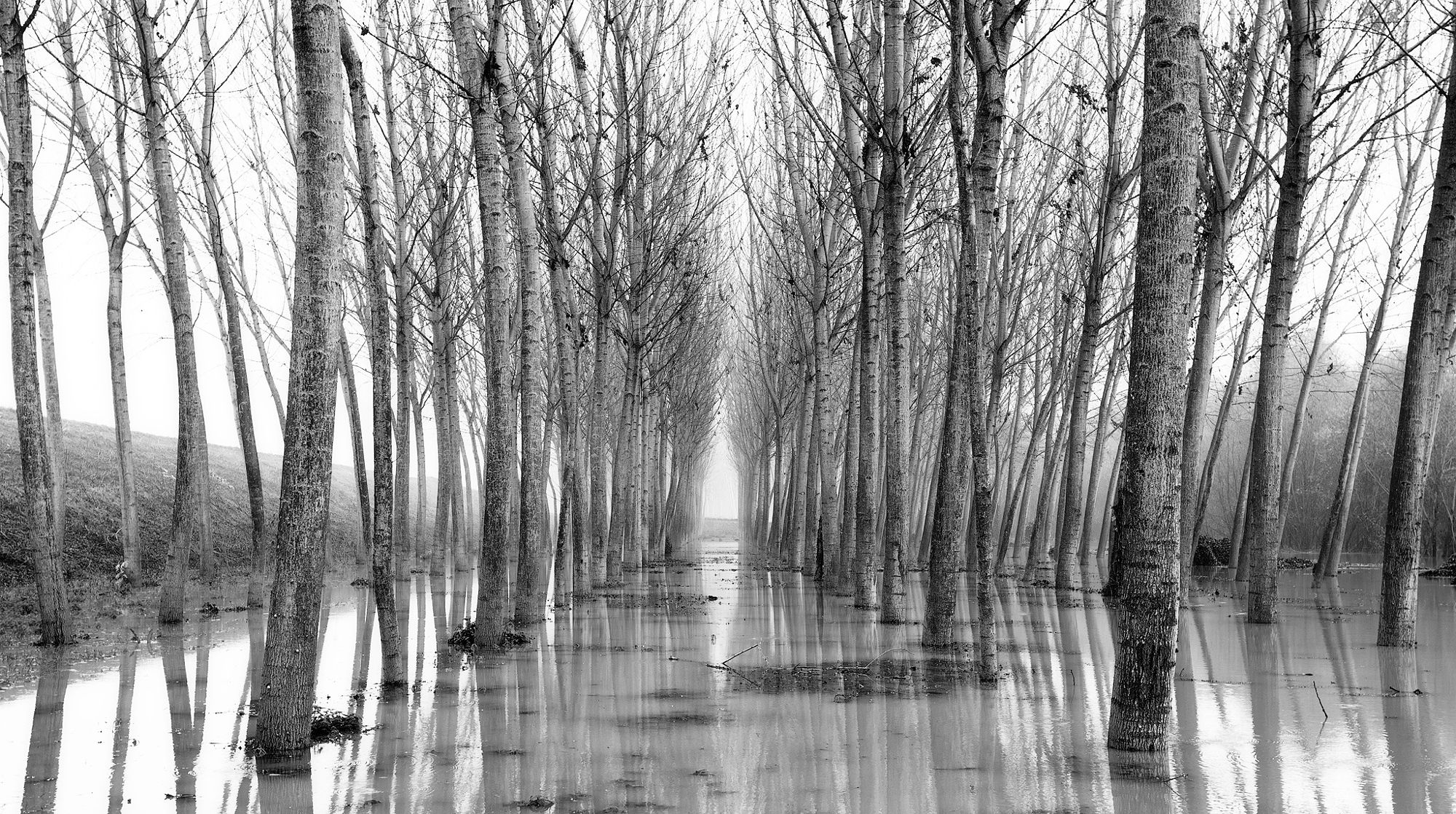 The flood of the Po.