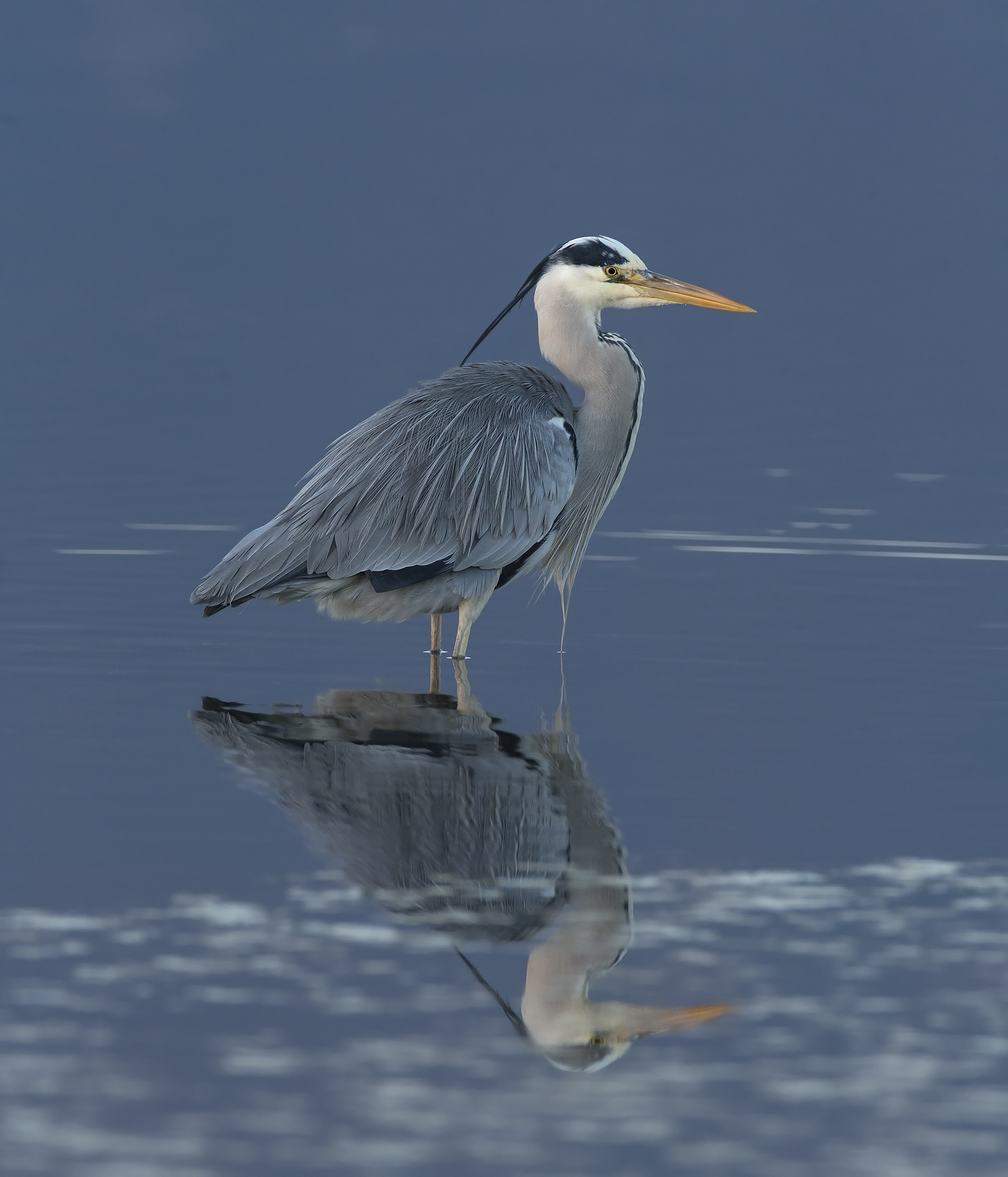 prima del sorgere del sole.....