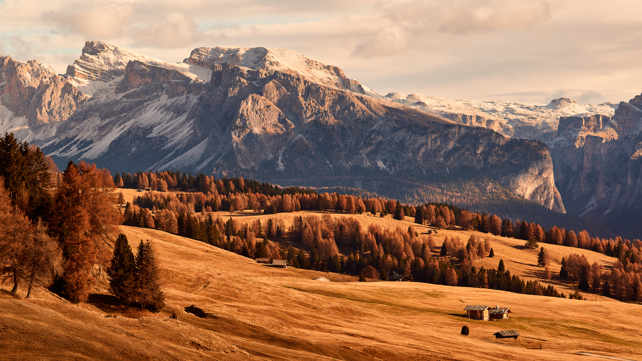 Two Cabins and a Half