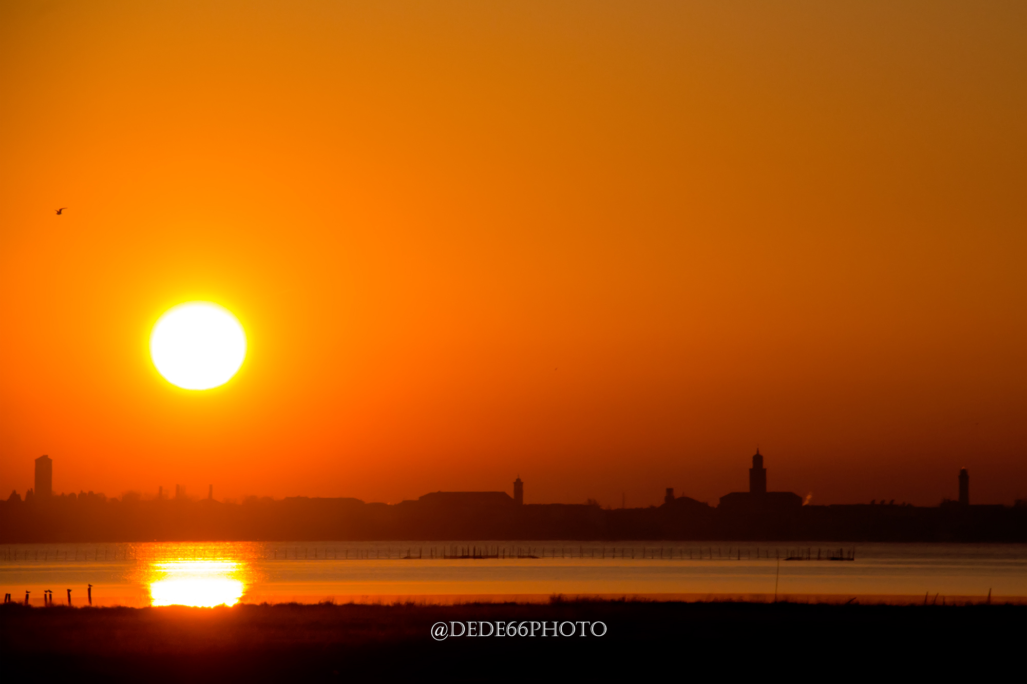 Sole Pieno...Controluce.