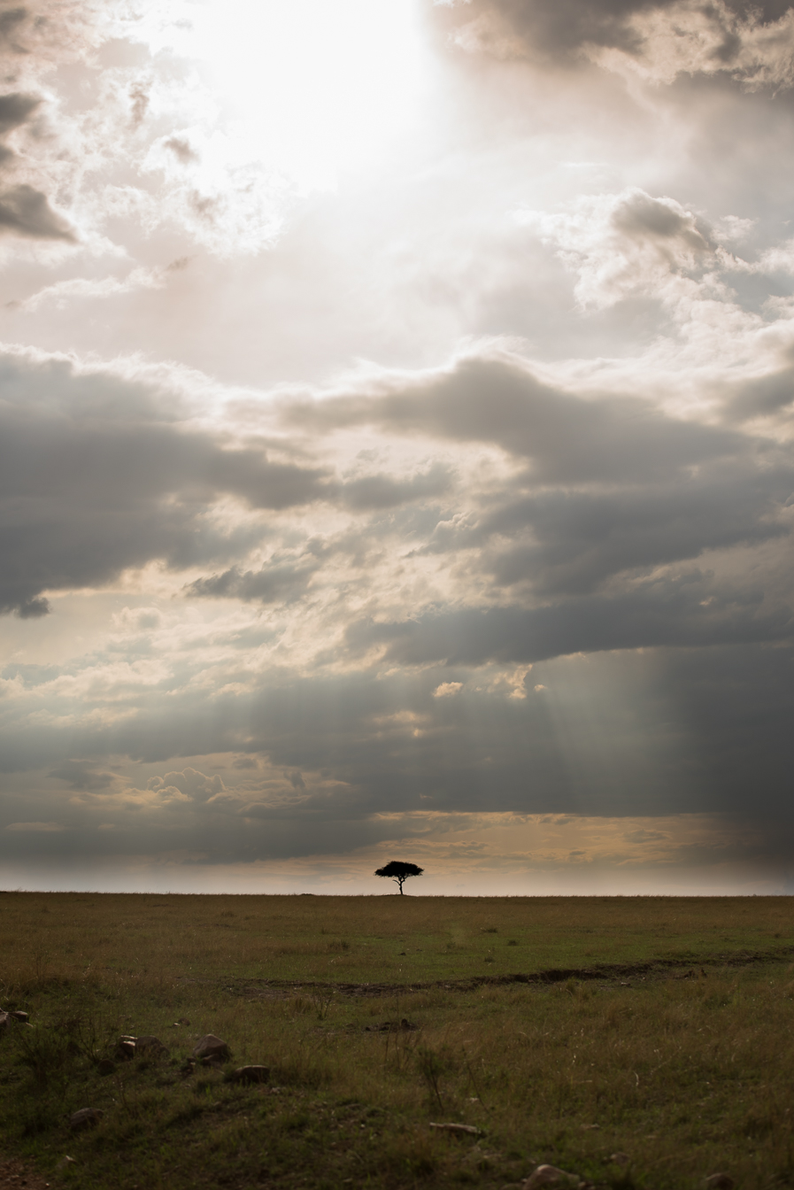 calm after the storm