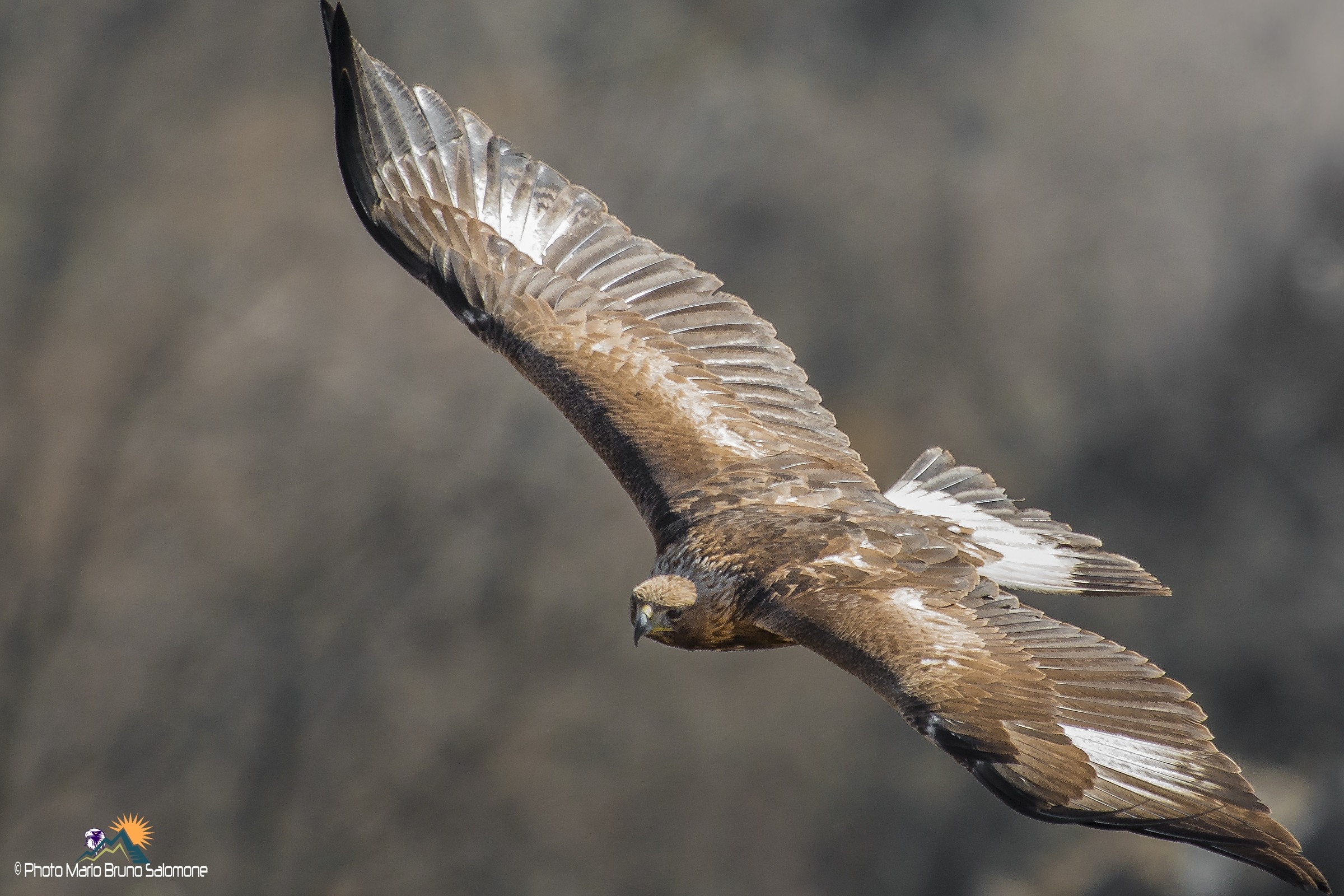 Incontri ravvicinati.