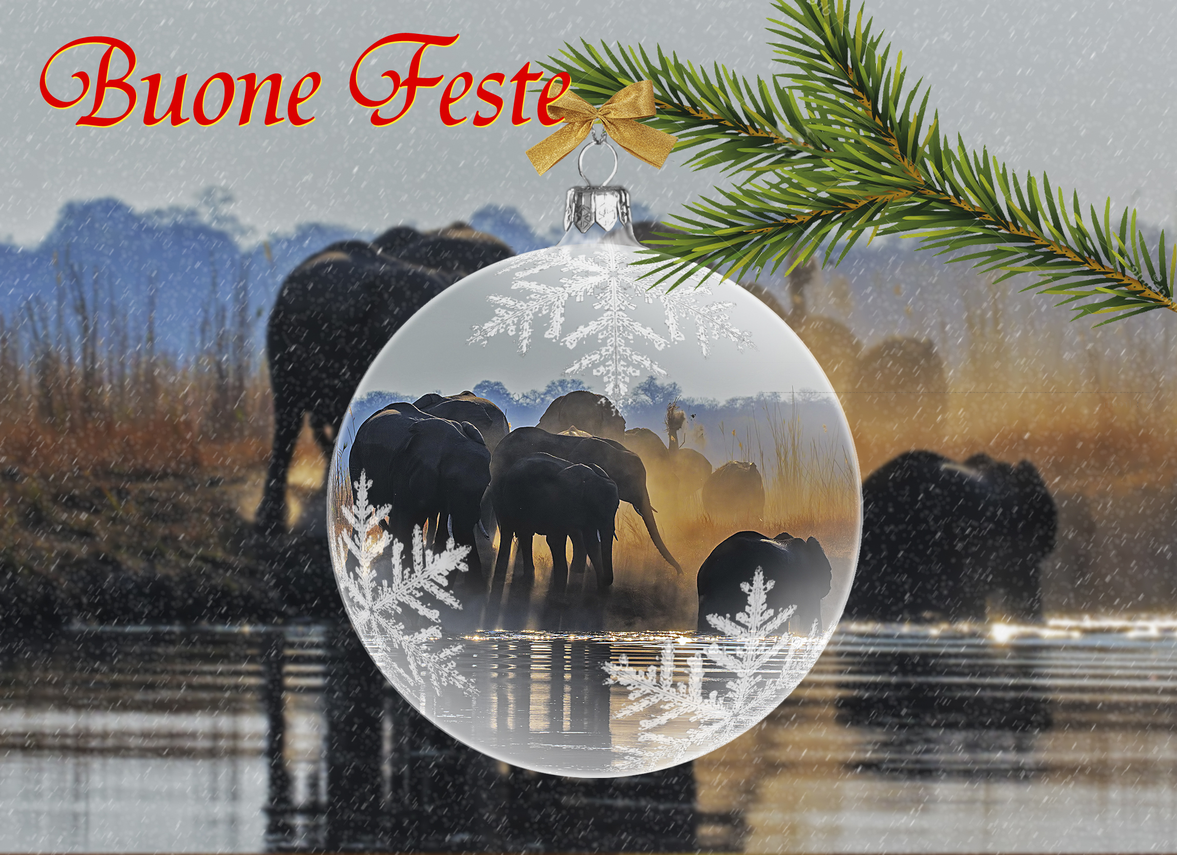 Auguro un Buon Natale e un sereno Anno Nuovo a tutti