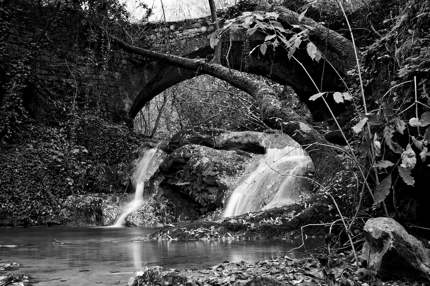 rio buti