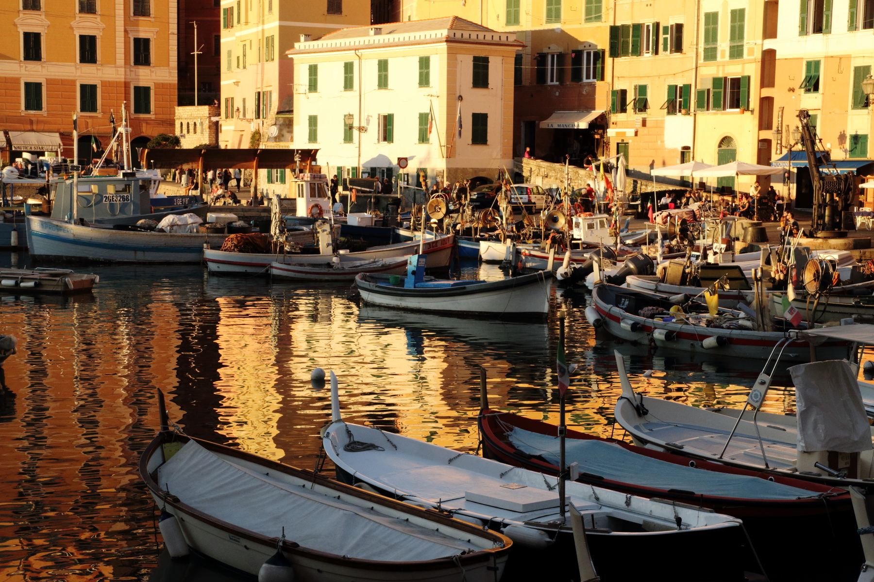 reflections on the harbor