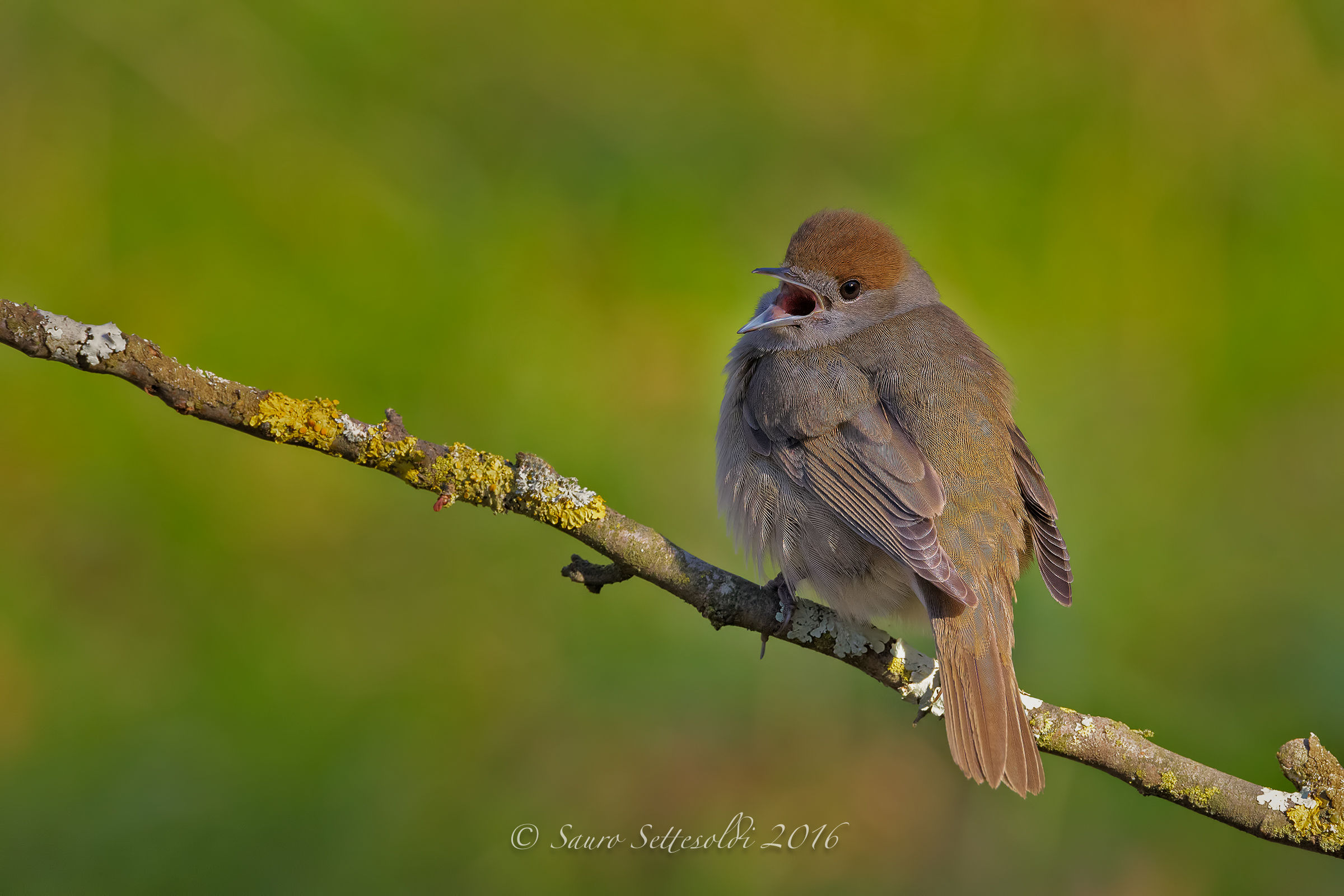 What do you want ???