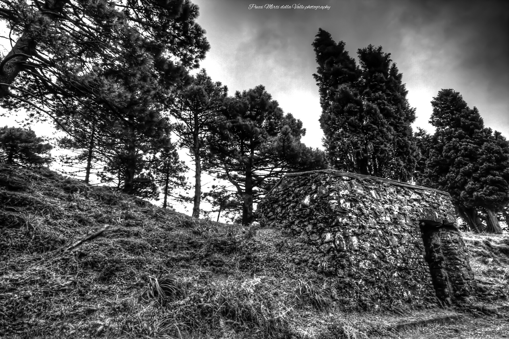 Quella casa nel bosco