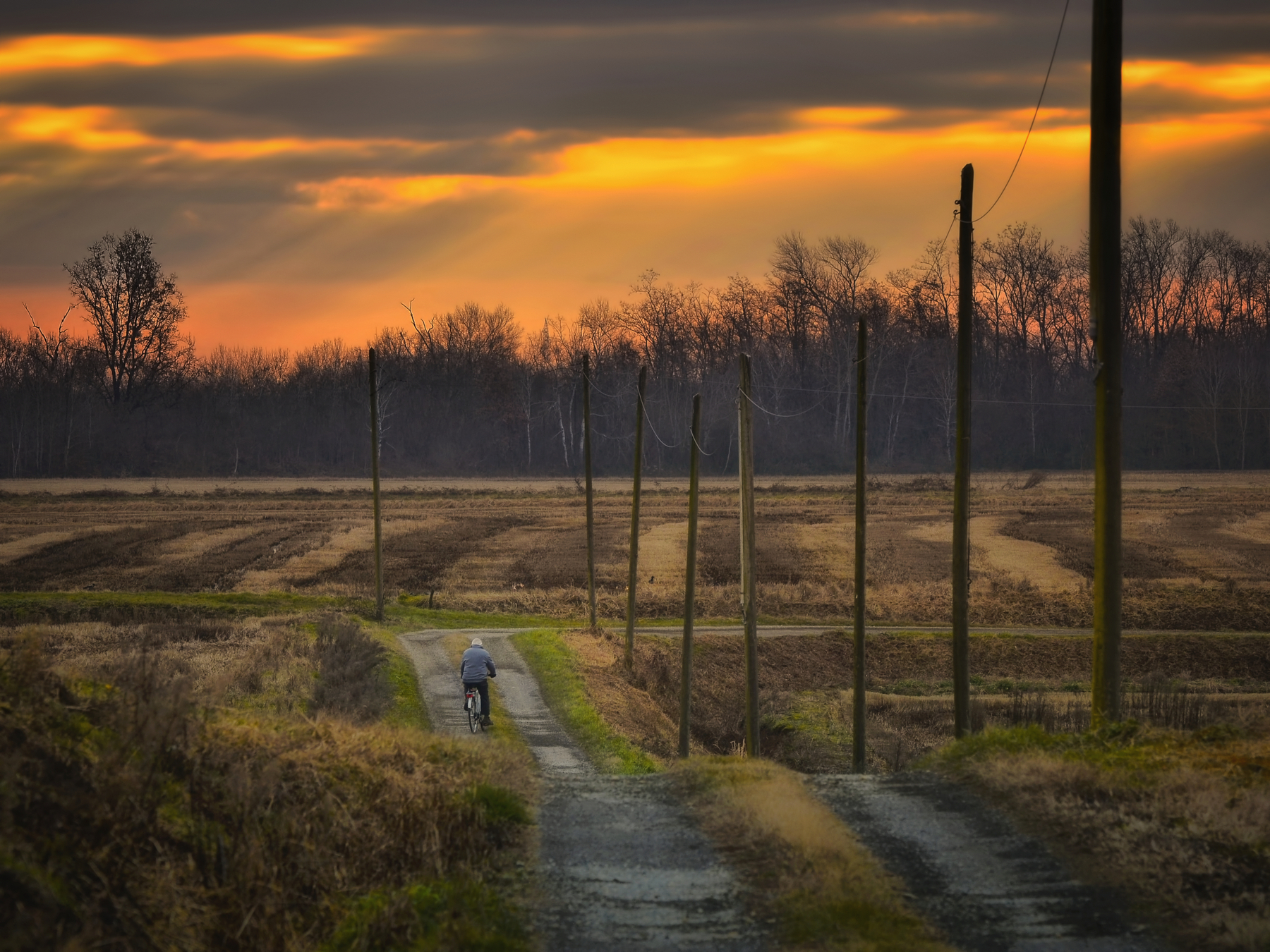 Verso una nuova alba...