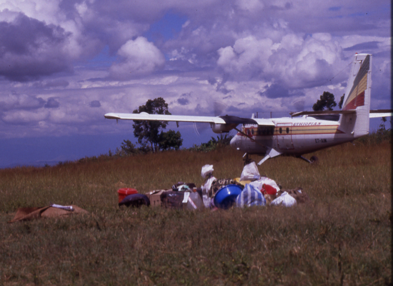 503 The luggage arrived everything, bye ........