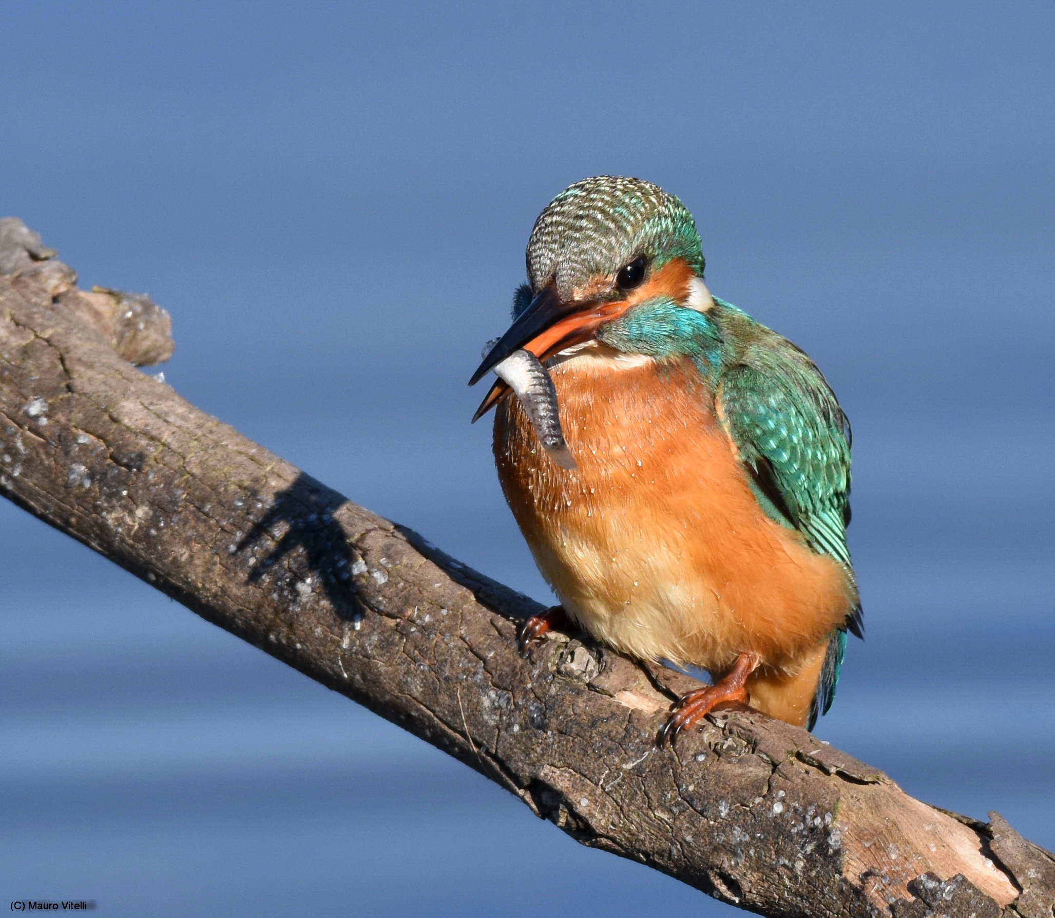 The constancy rewards ...