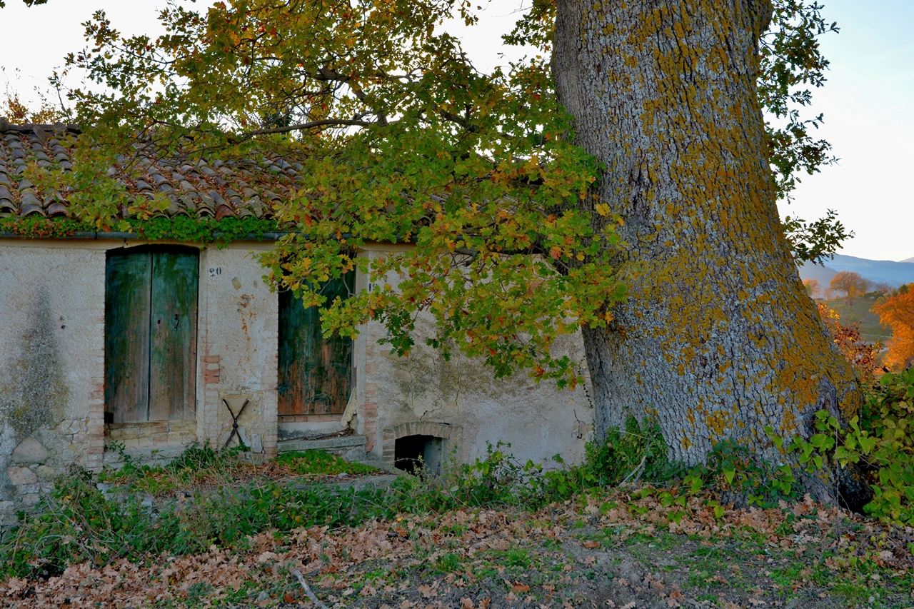 The Giant and The Child