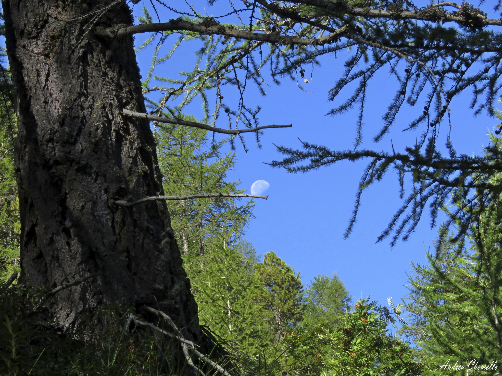 On the way to Lago D'Arpy