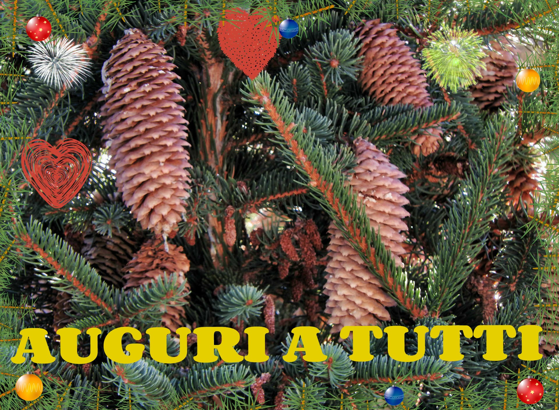 Merry Christmas Happy New Year !!!!!