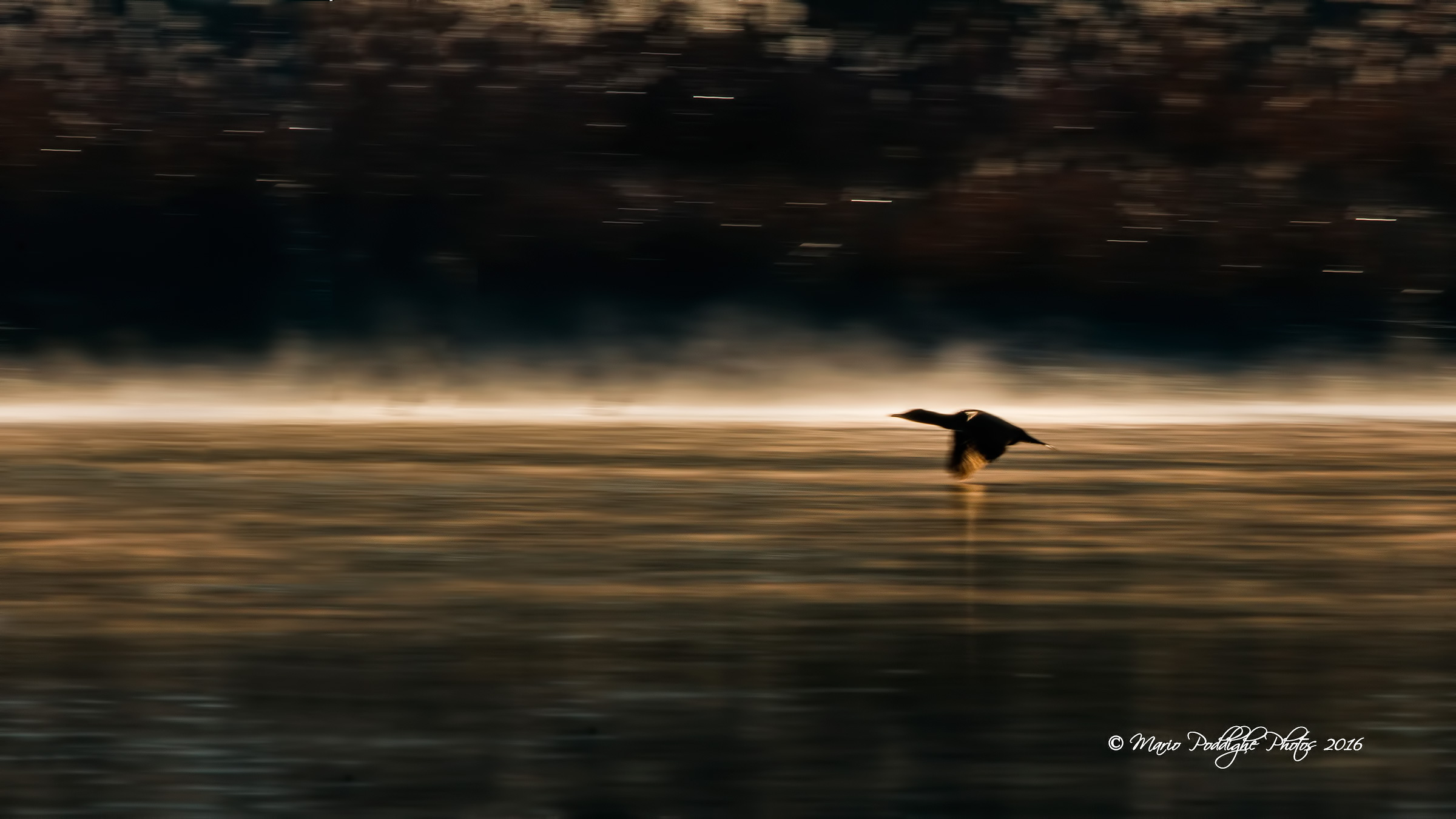 Panning alle prime luci