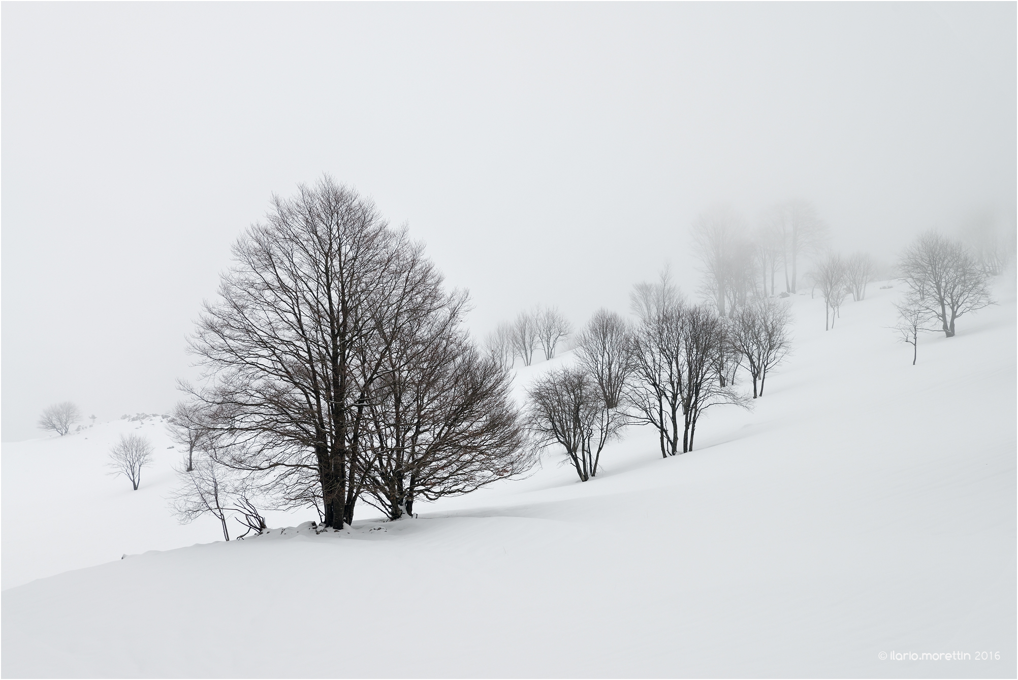 And get lost in the white ...