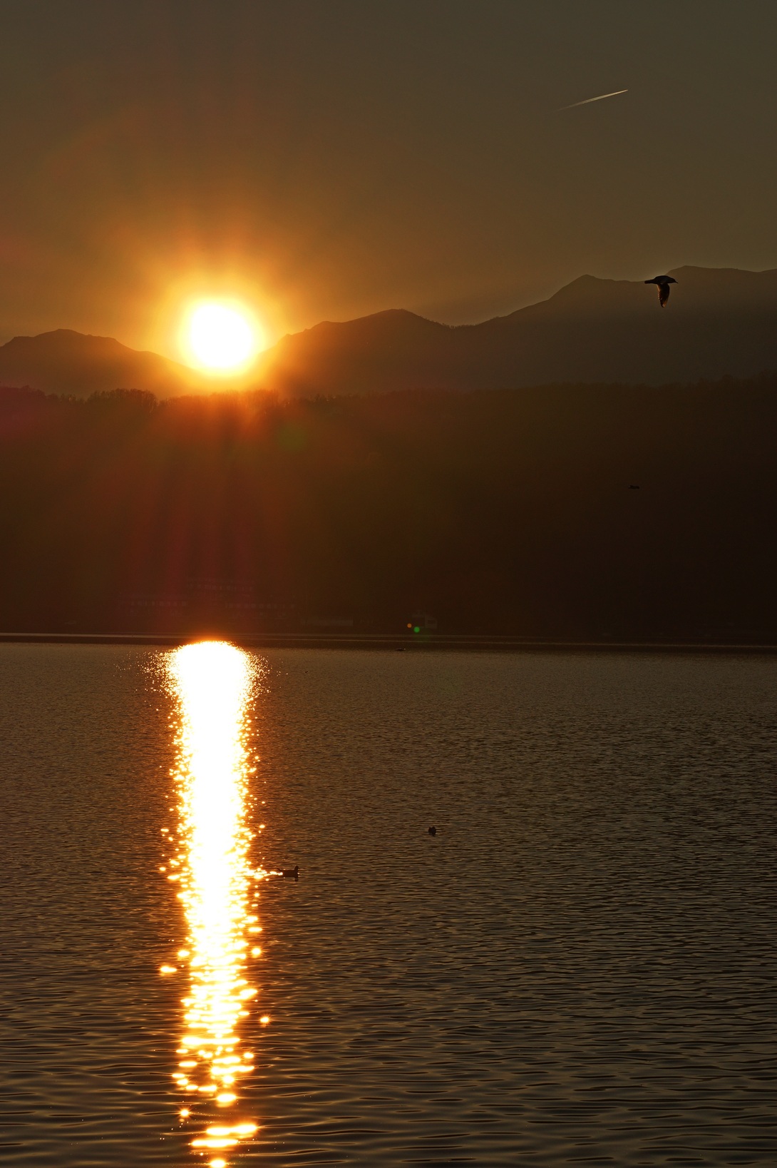 Two different ways of flying ....