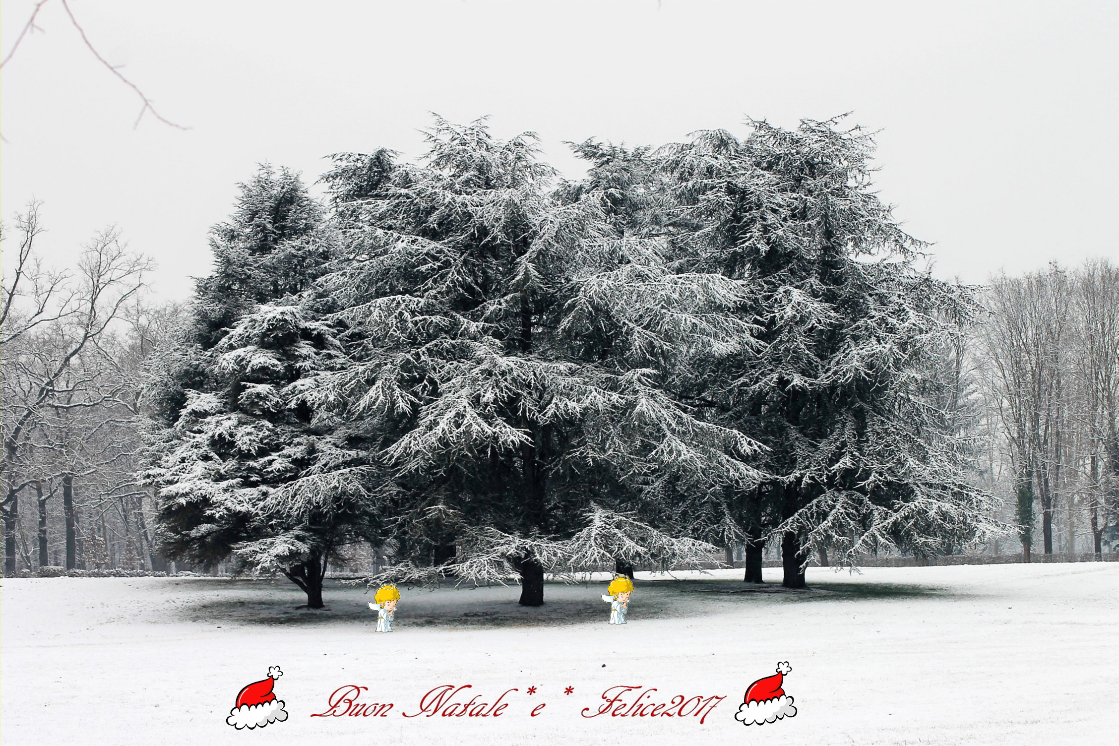 Congratulations to all Juzzini