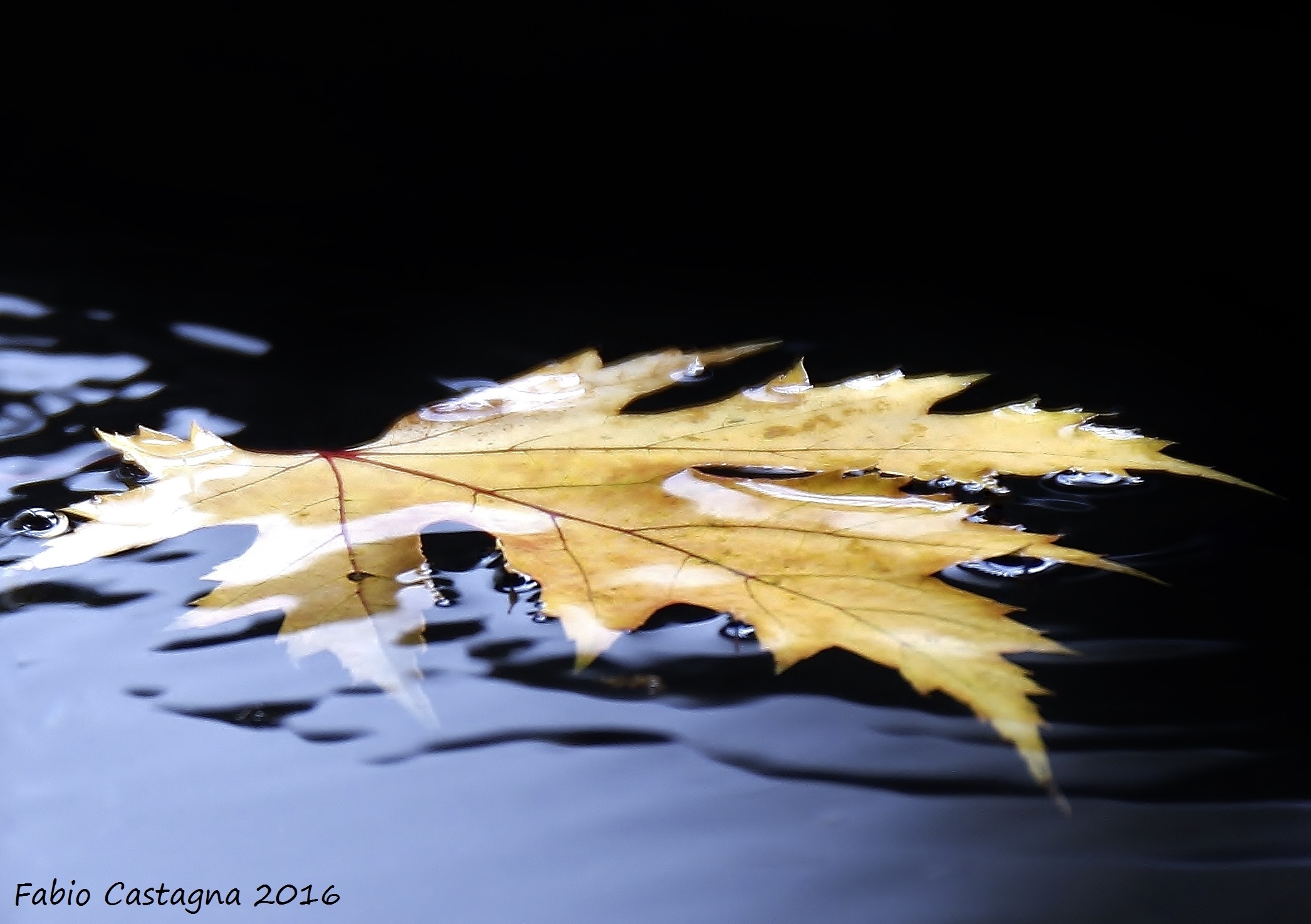 The bathroom of Autumn
