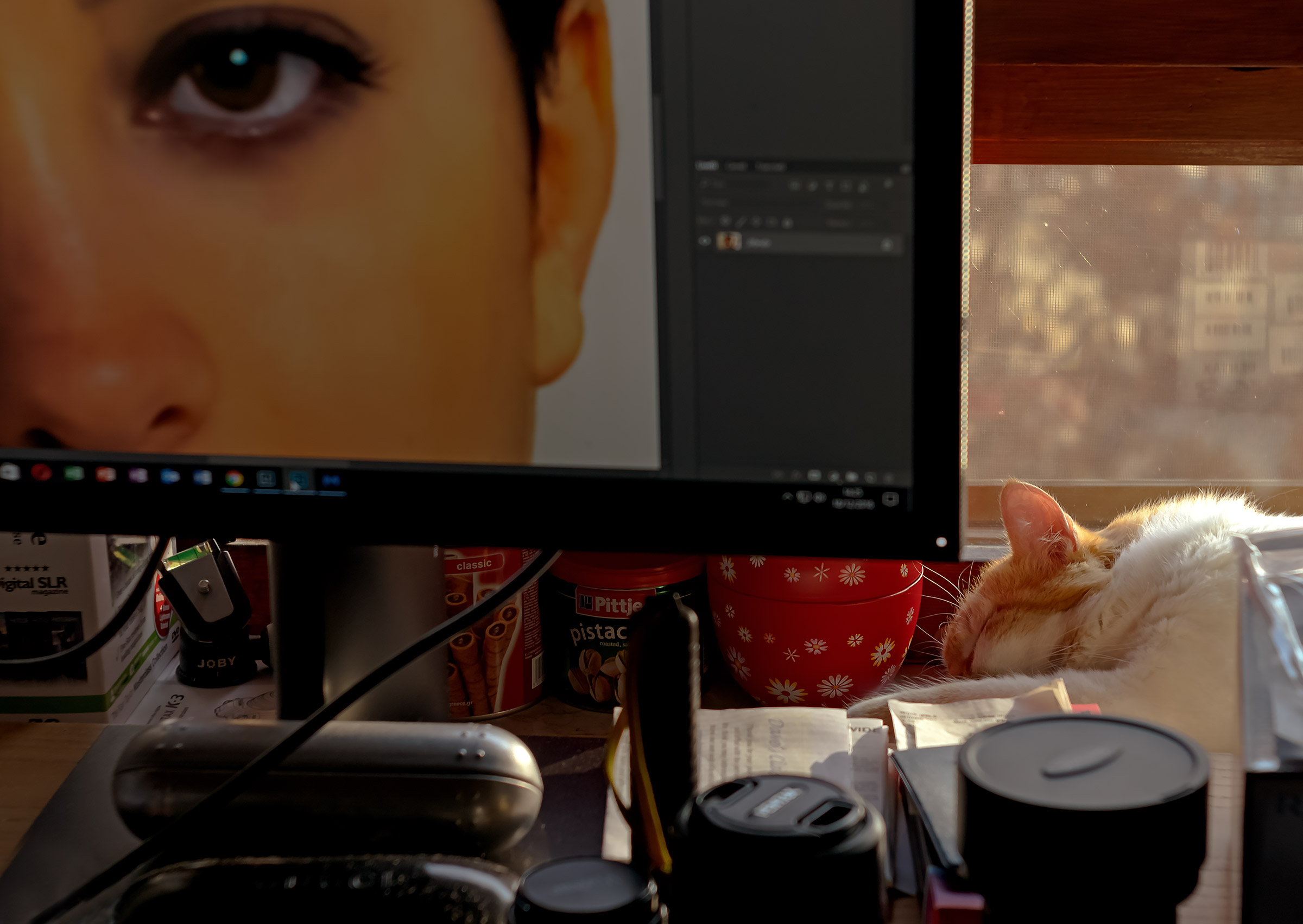 Ognuno insegue i sogni suoi