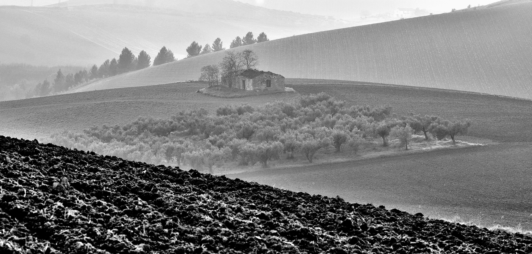Mist behind the hill