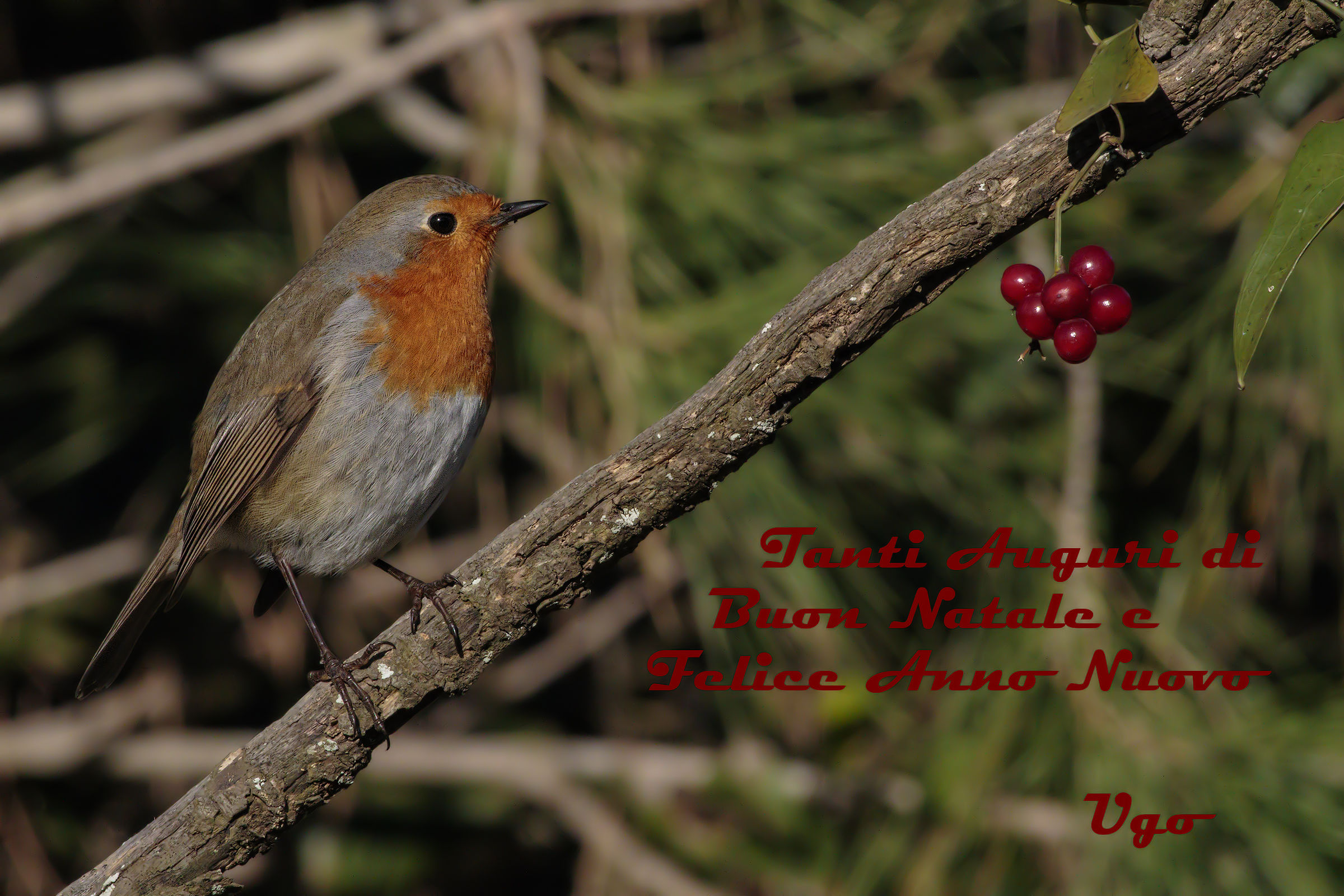 Congratulations to all juzzini