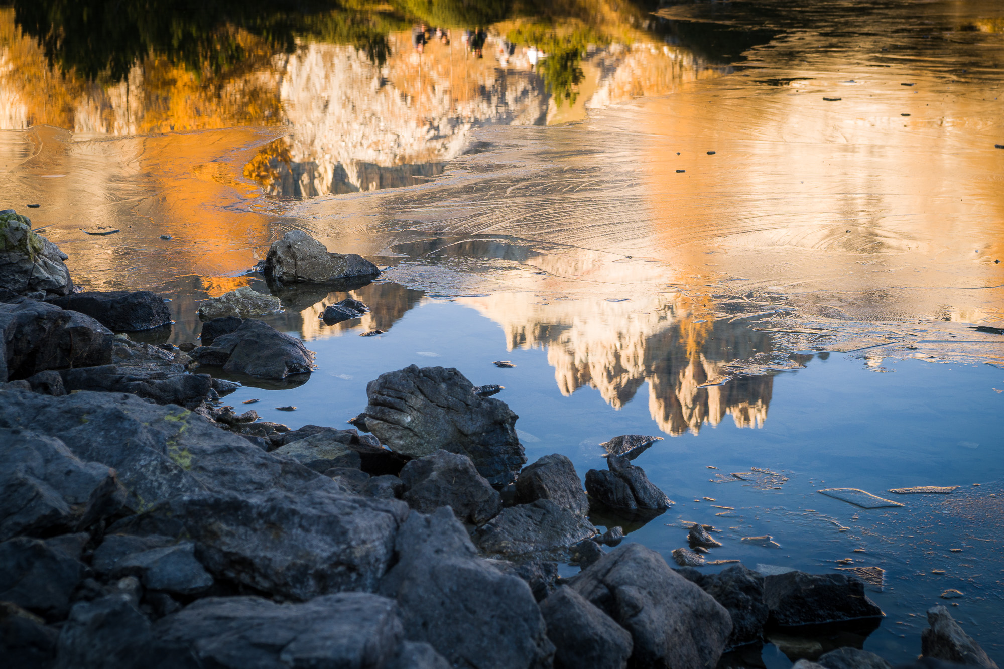 Afternoon reflections