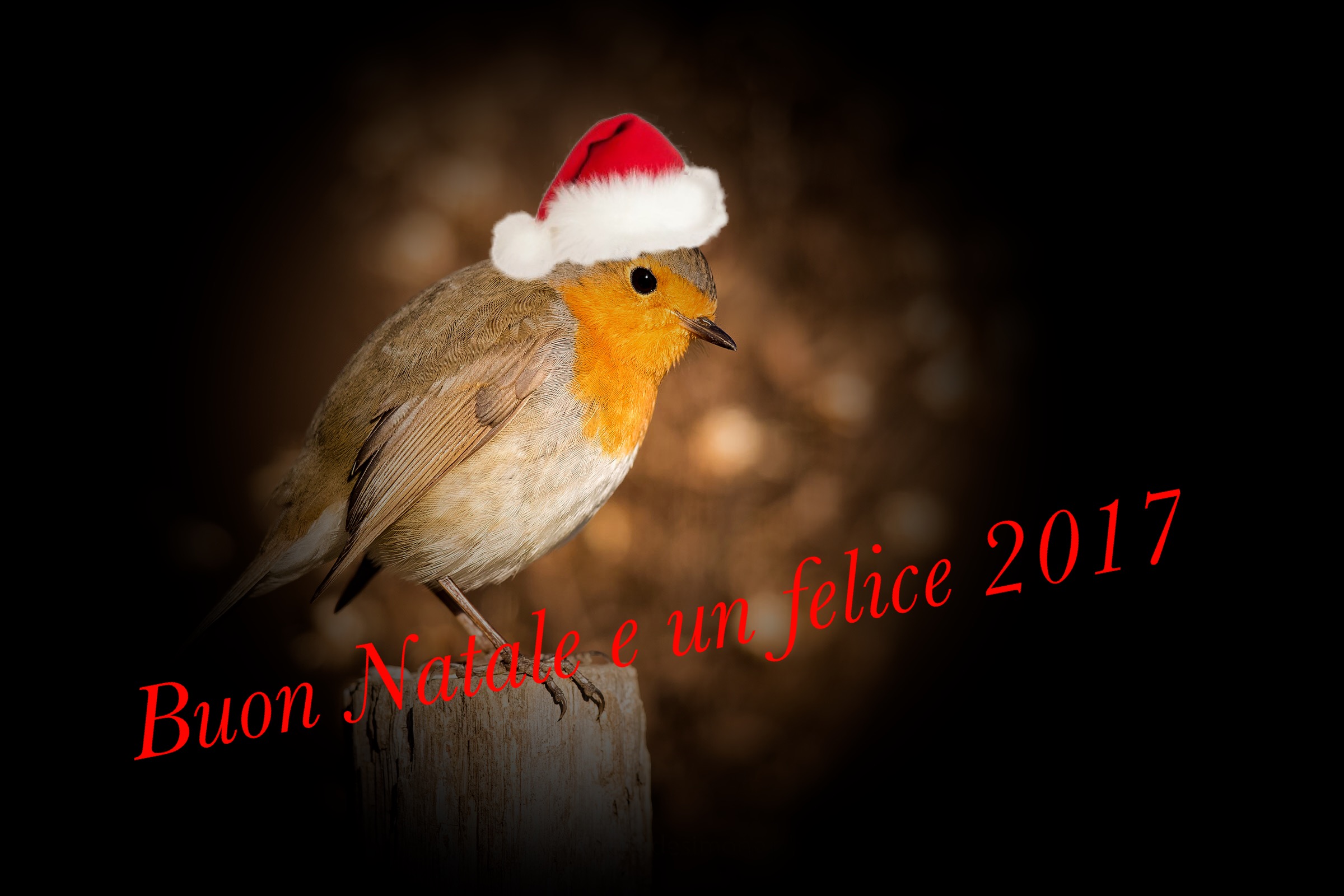 Buon Natale e un felice 2017