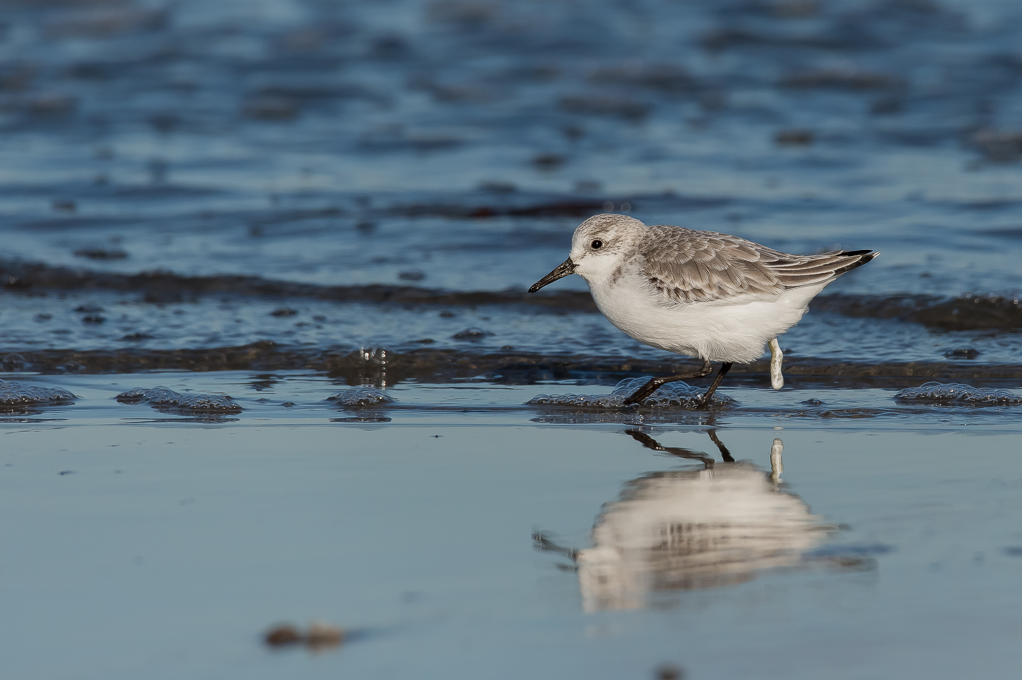 Oops sorry ... I ran away