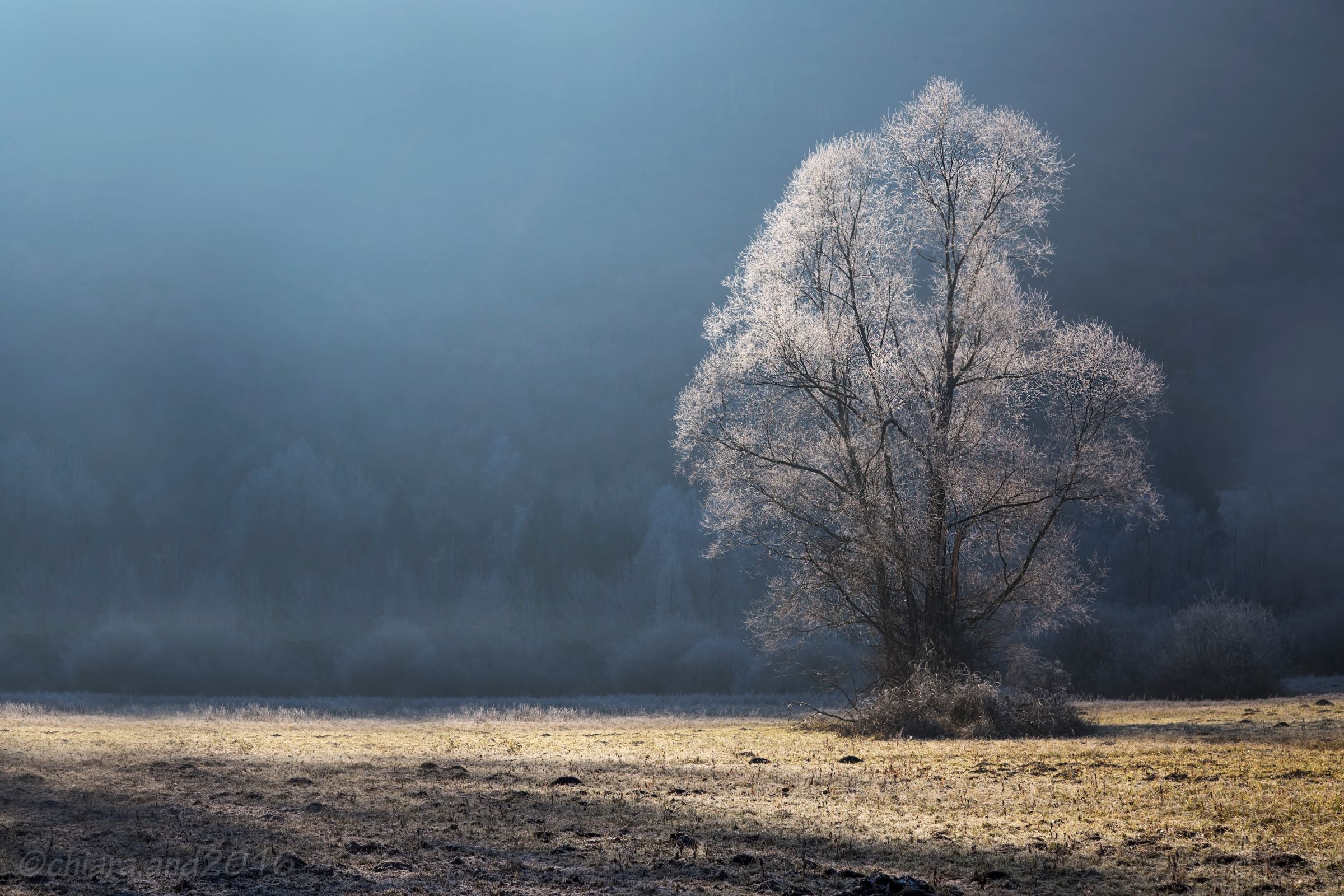 Spirito del gelo ....