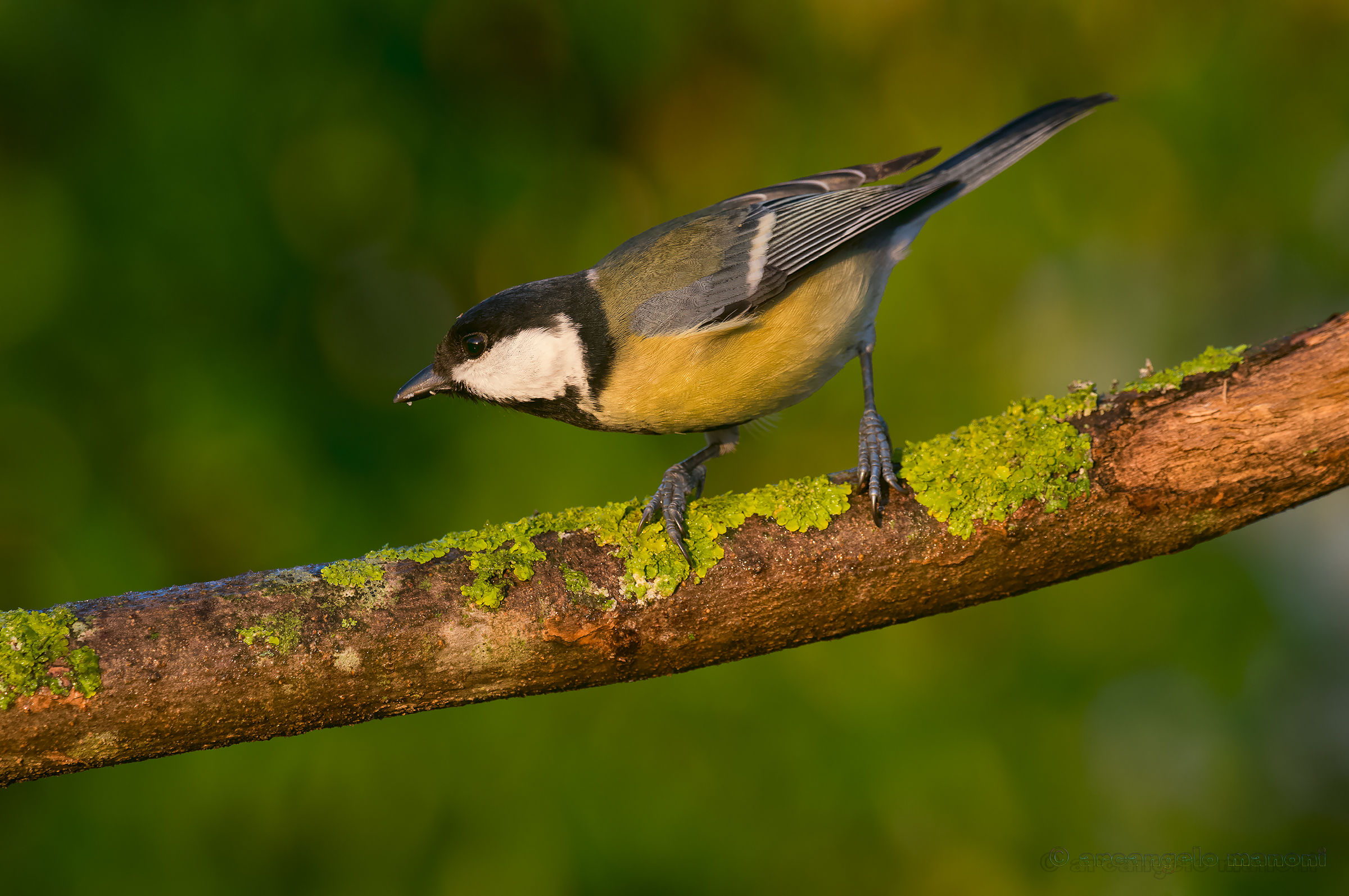 Una cincia sospettosa