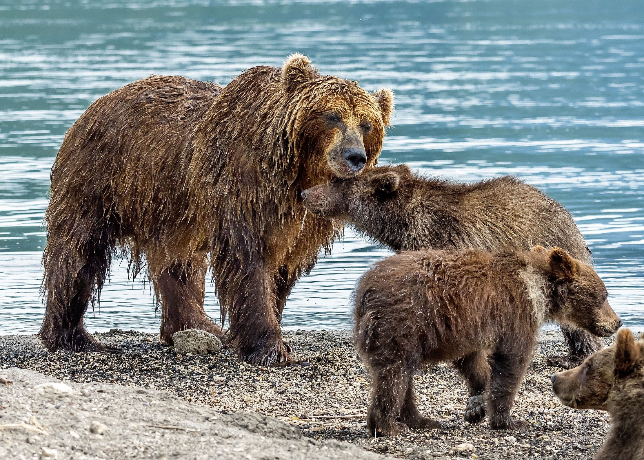Kamchatka 2016 - Momenti