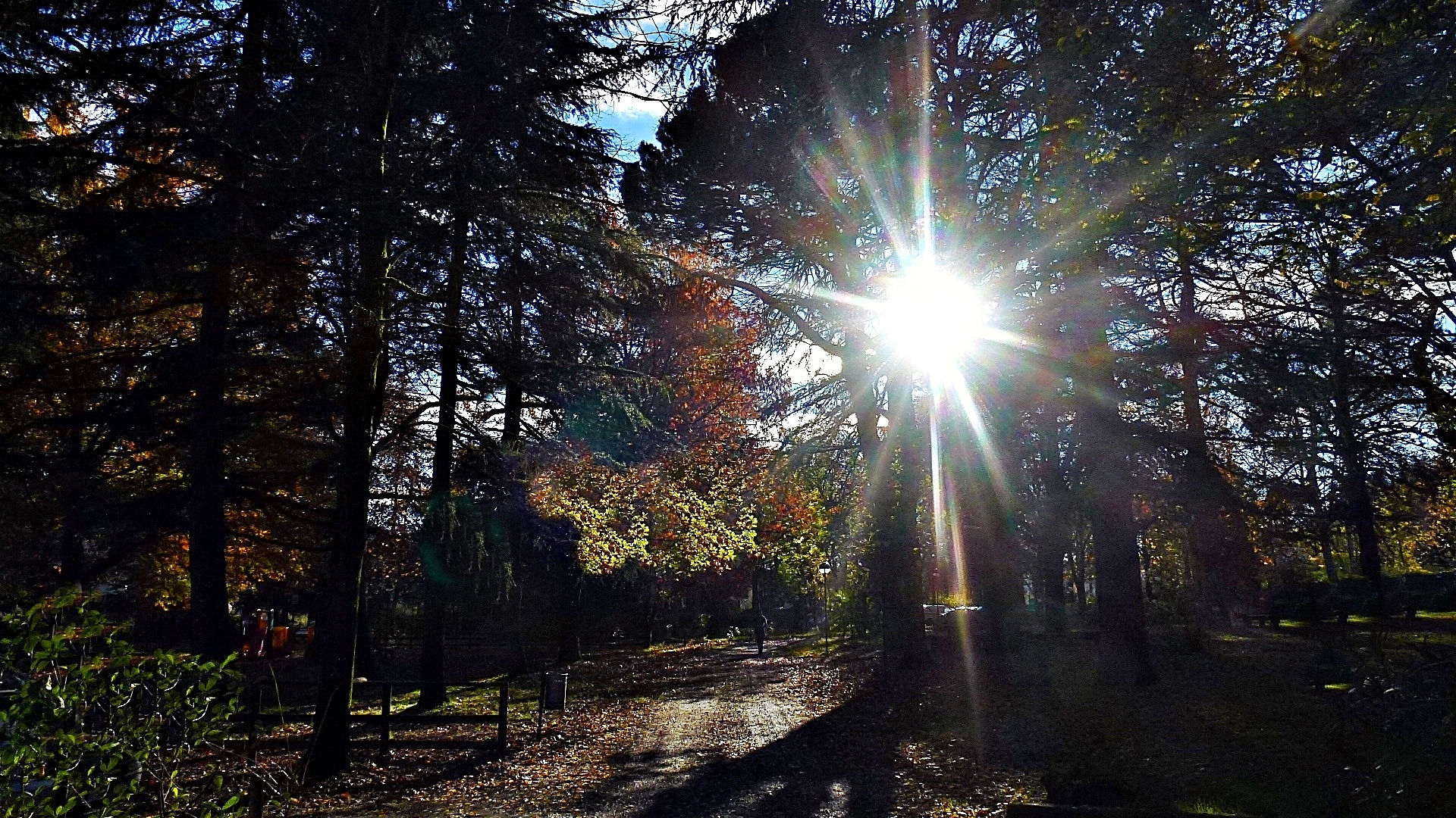 A blunder in the park