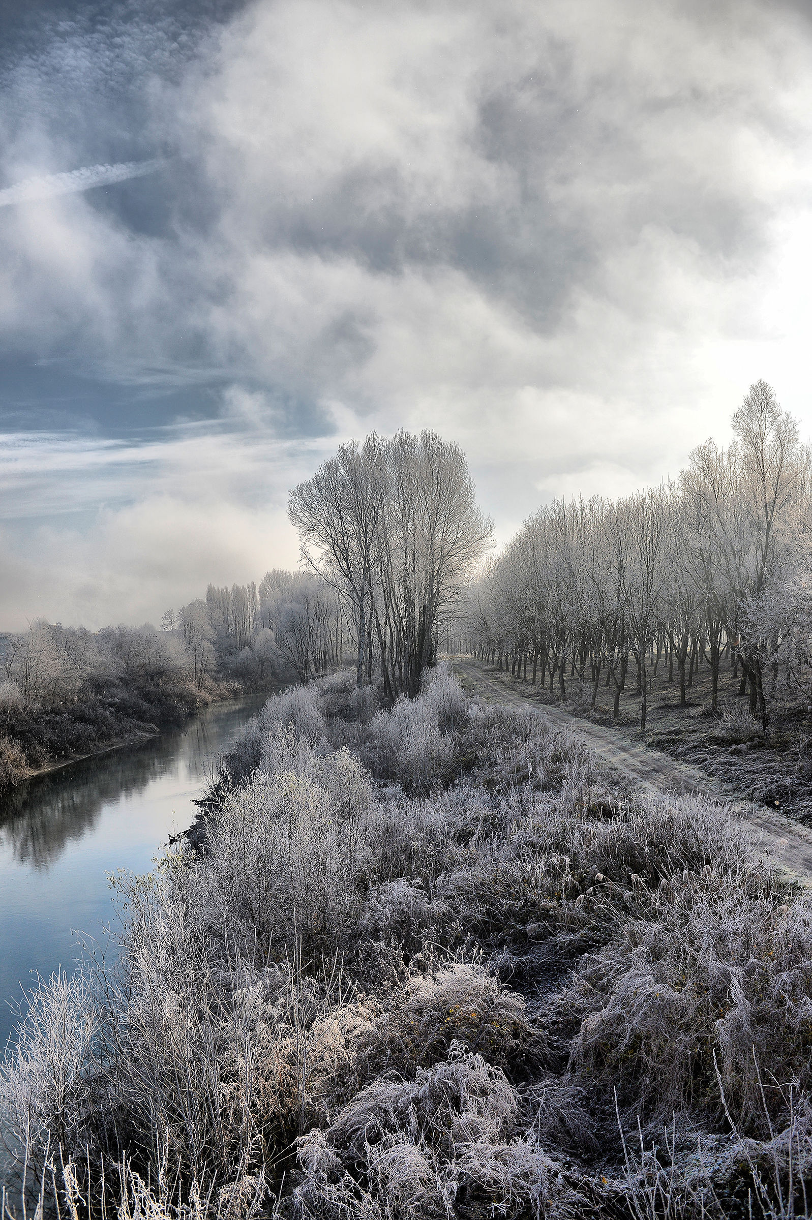 Morning on the river