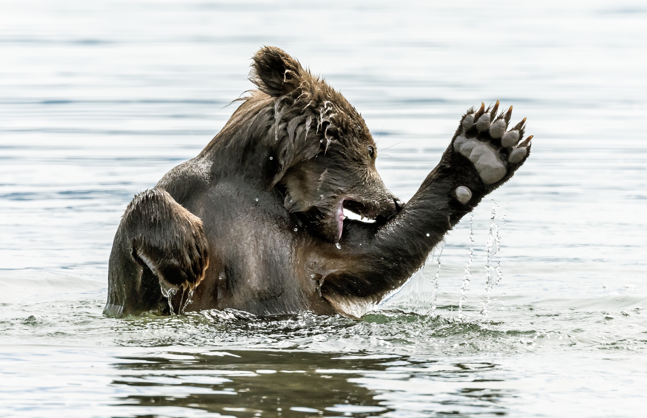 Kamchatka 2016 - Bagnetto