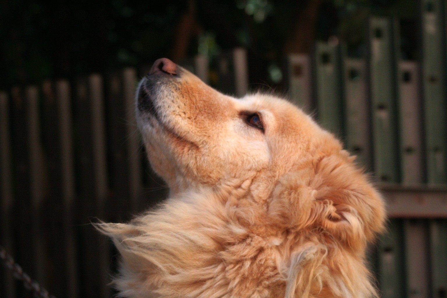 looking for inspiration for the next trouble